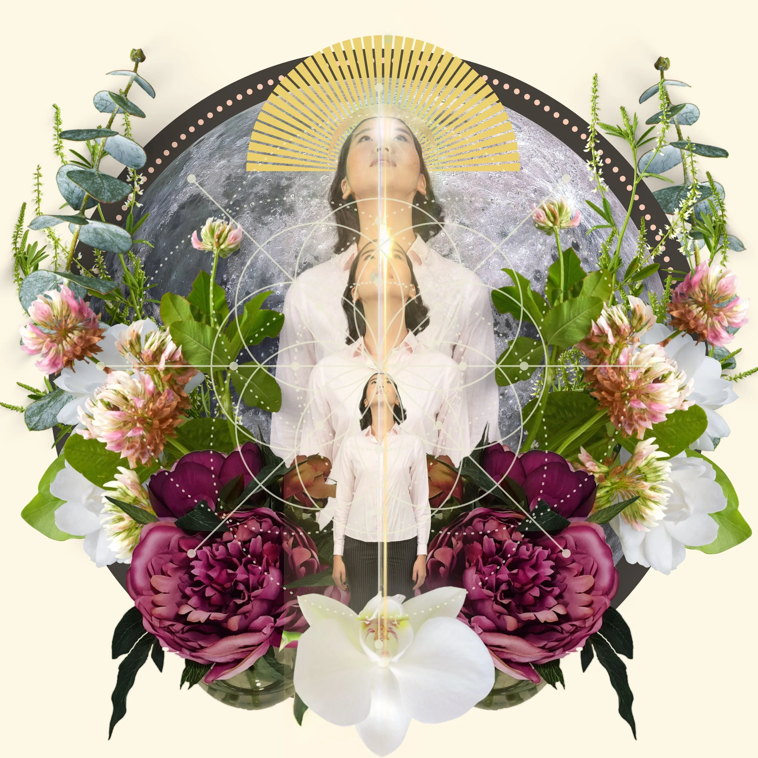 Instagram Transform the Nest  (5).jpg