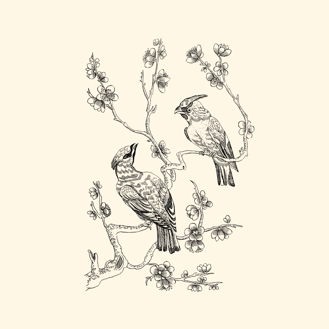The Nest network in Fort Collins honors the sacred rhythms of nature through holistic healing practices in Fort Collins, CO