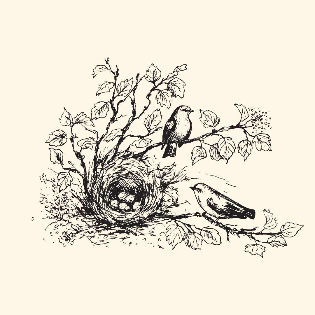 The Nest is a healing collective with embodied and skilled practitioners in Fort Collins, CO
