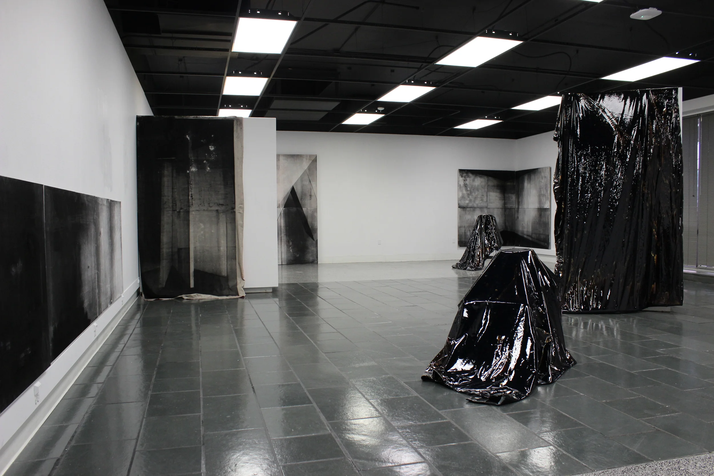  Alumna Exhibition Installation View, Ritz Gallery  3D: Liquid tar encapsulated in vinyl swimming pool liner, gallery pedestals, moveable wall, found object (lampshade)  2D: Acrylic ink, powdered toner, spray paint, iridescent powdered pigments, sati