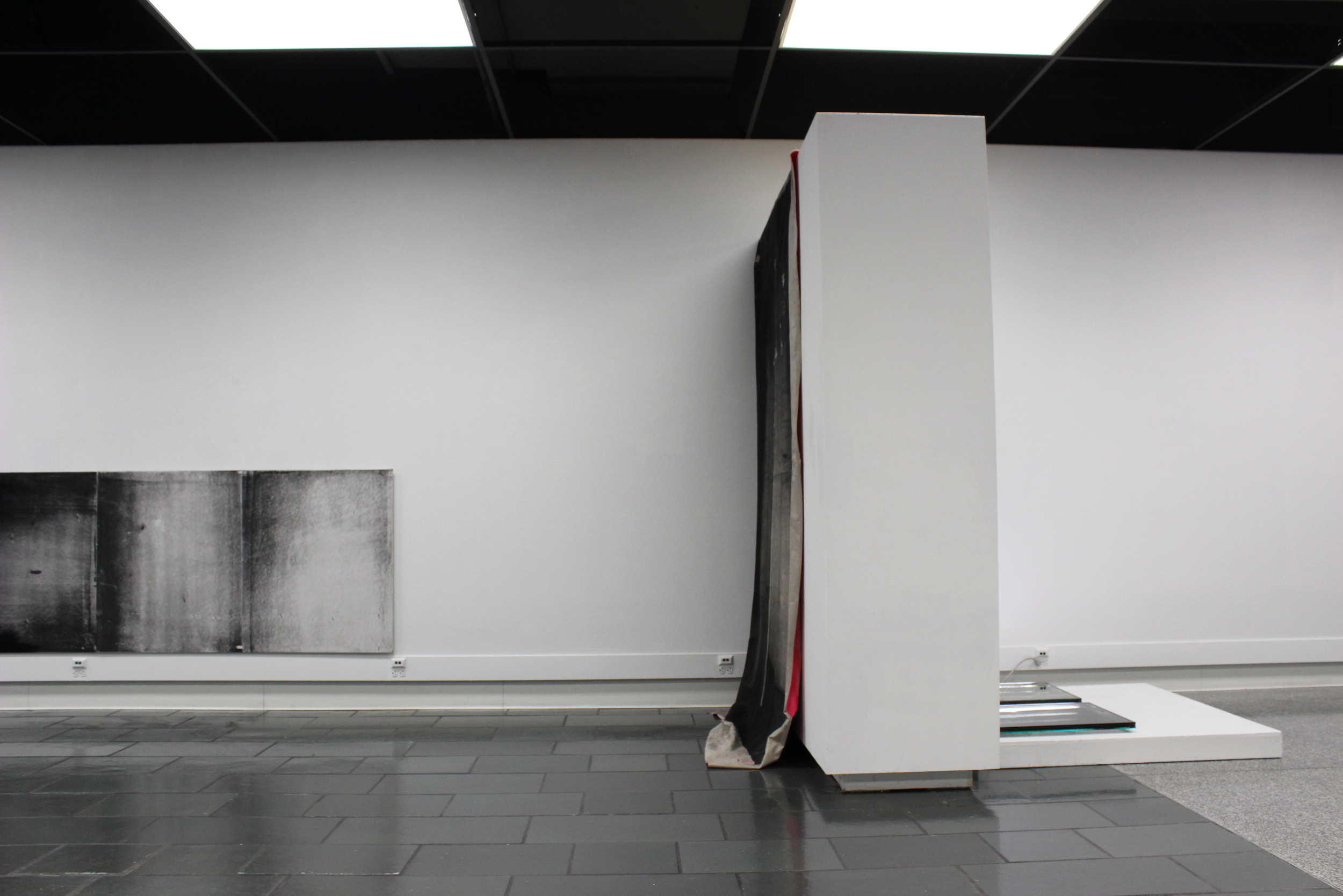  Acrylic paint, spray paint, powdered toner, iridescent powdered pigments, satin 