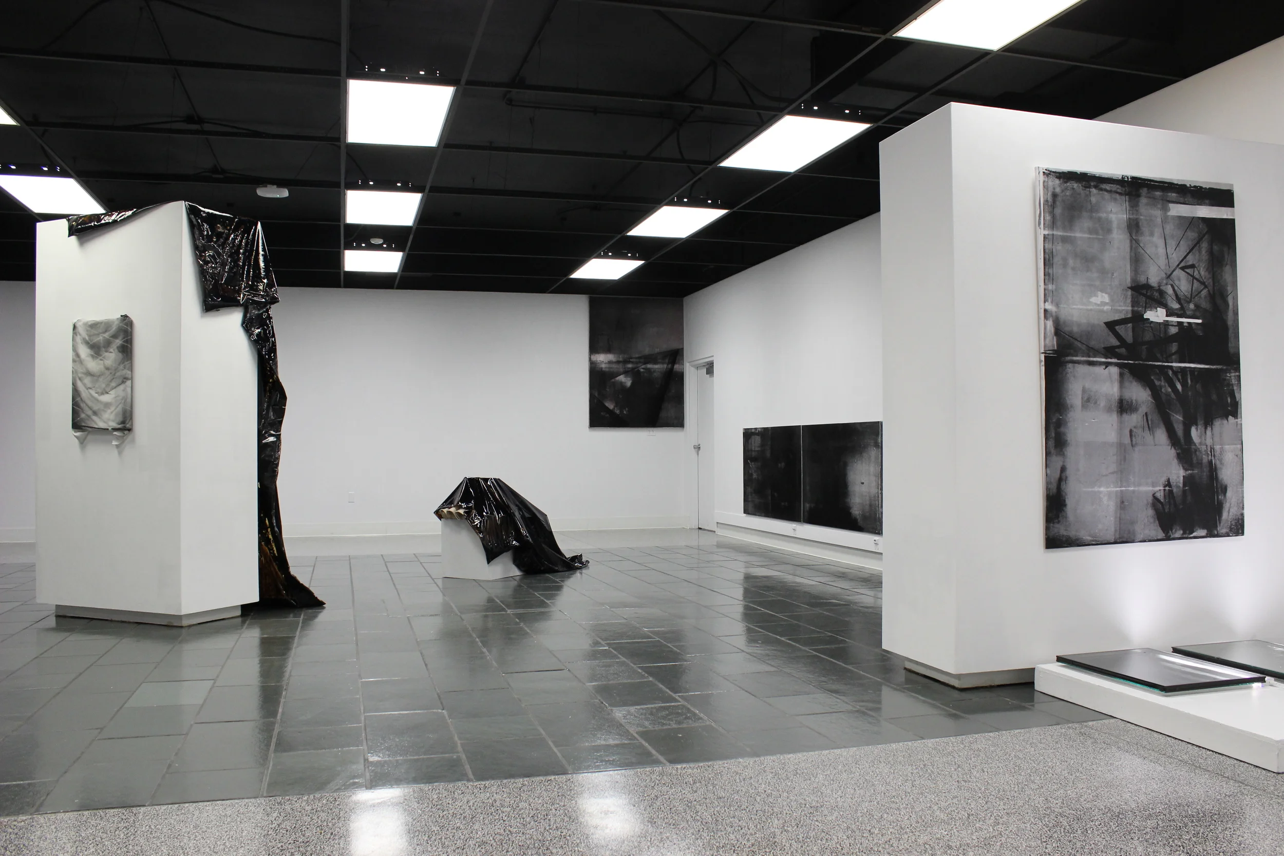  Alumna Exhibition Installation View, Ritz Gallery  3D: Liquid tar encapsulated in vinyl swimming pool liner, gallery pedestals, moveable wall, found object (lampshade)  2D: Acrylic ink, powdered toner, spray paint, iridescent powdered pigments, sati
