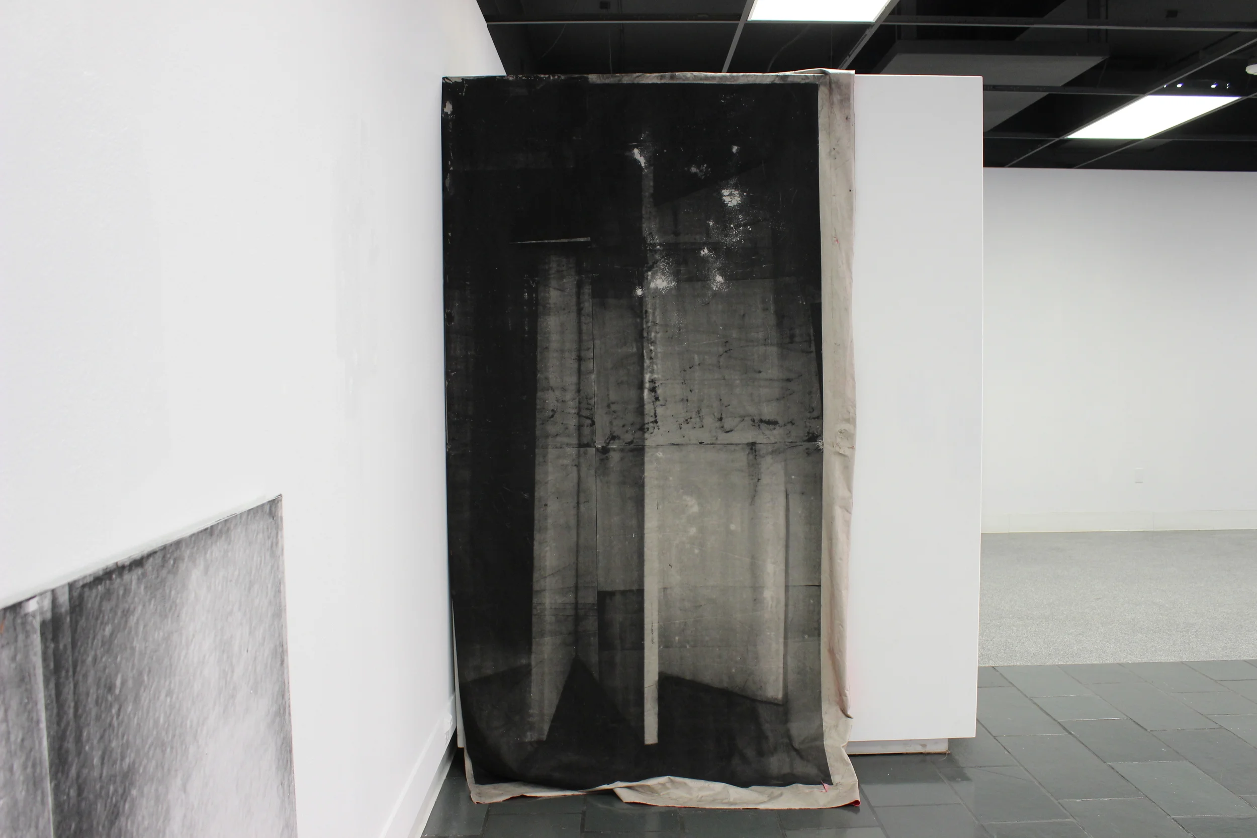  Acrylic paint, spray paint, powdered toner, iridescent powdered pigments, satin 