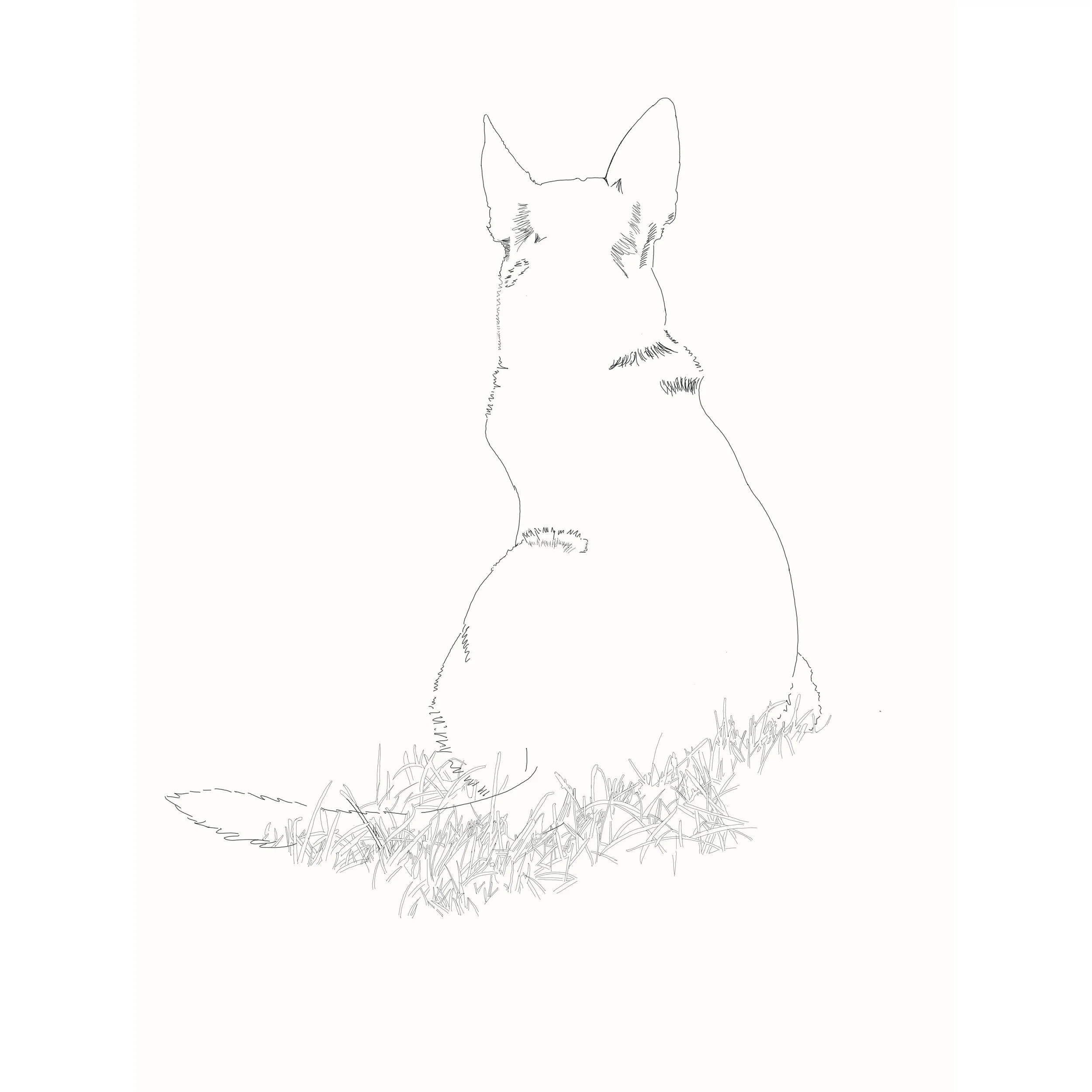 Whitagram-Image.jpeg
