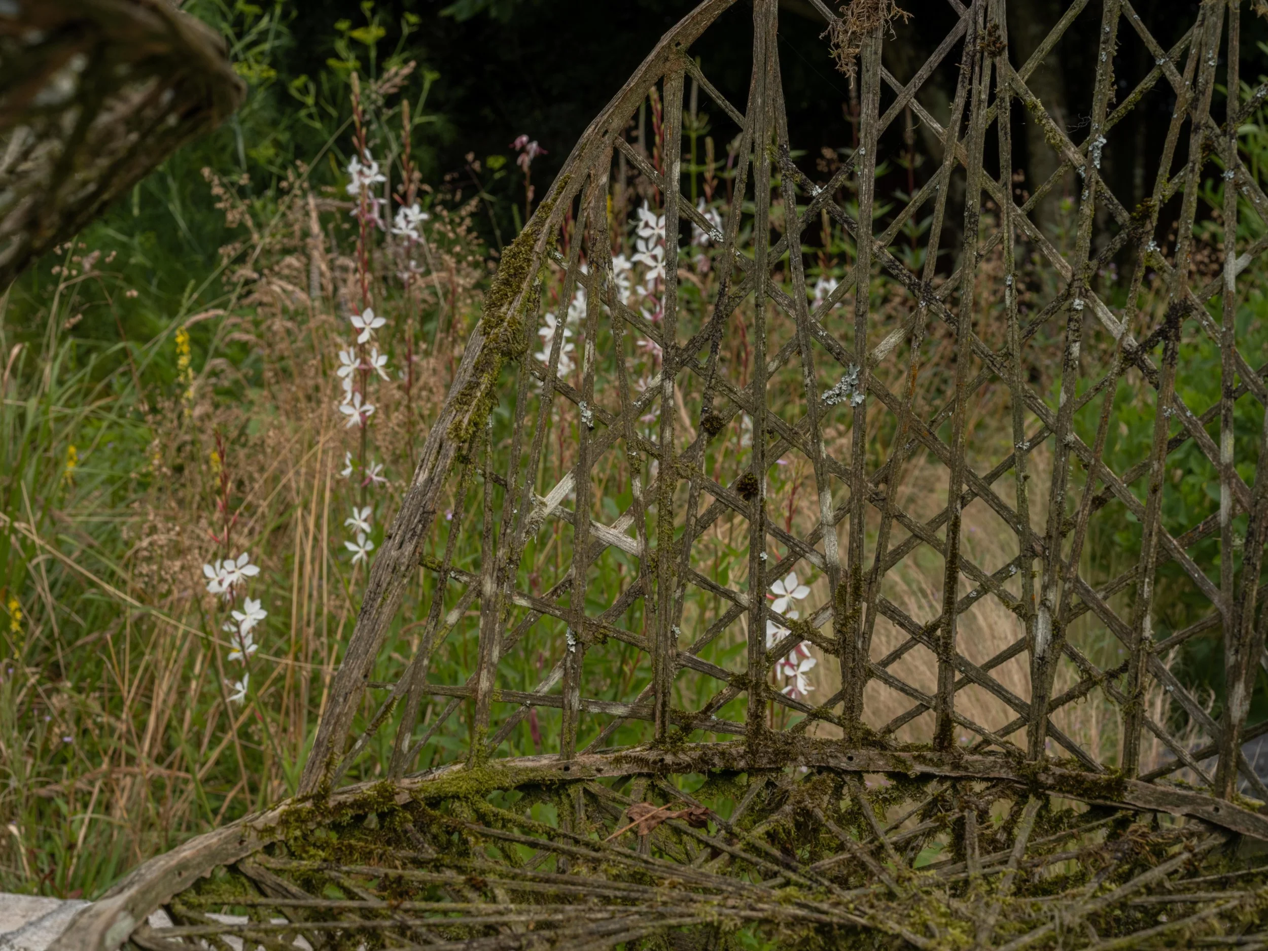 Close-up of a weathered wooden garden chair with a lattice backrest, surrounded by wildflowers and greenery.