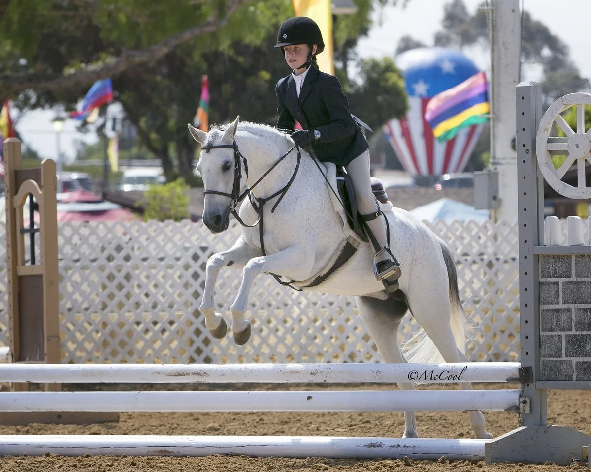 A young girl dressed in equestrian riding attire, including a black helmet, jacket, and beige riding pants, riding a white horse over a show jumping obstacle at an outdoor equestrian event.