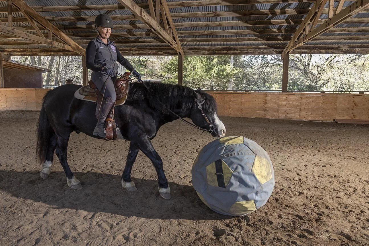 Heather Hill Riding Center 20260115-5163.jpg