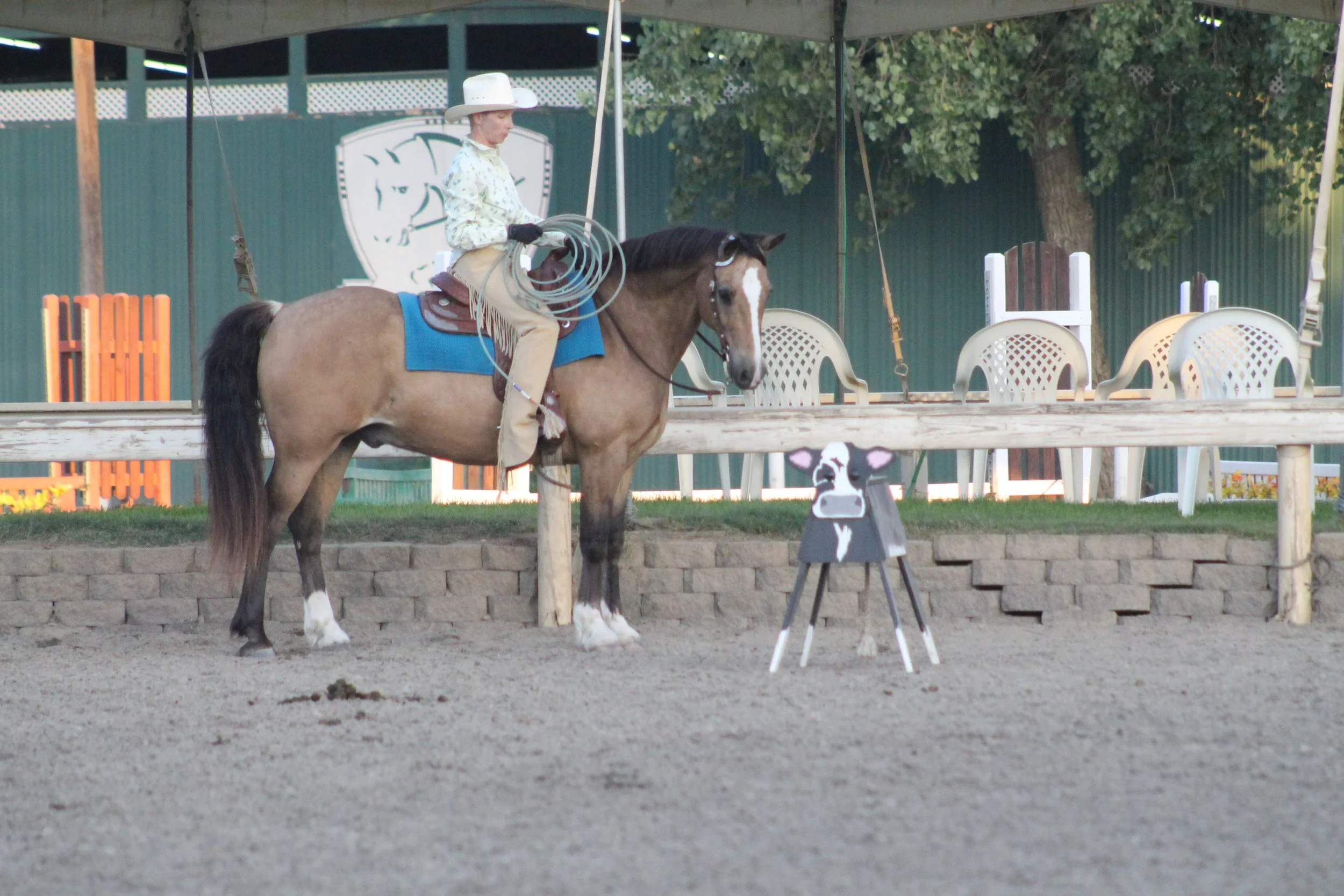 Person on horseback holding a lasso in an equestrian arena with a painted cow figure on a stand in the foreground.