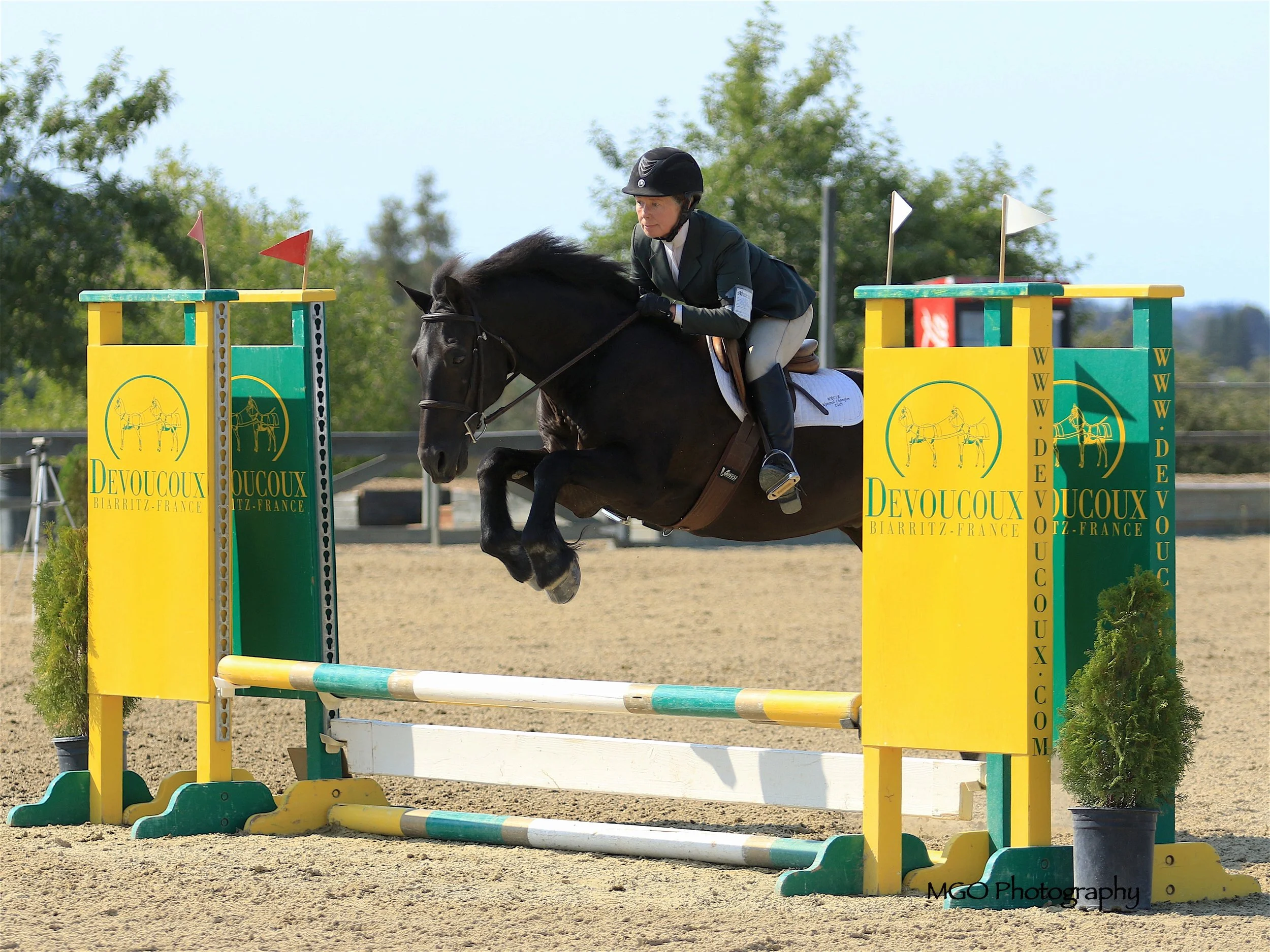 A female equestrian rider in formal riding attire and helmet jumps over a colorful obstacle on a dark horse during a show jumping competition.