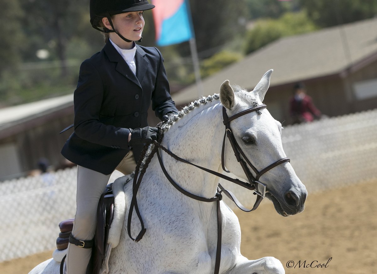 Young girl dressed in a riding jacket, helmet, and gloves riding a white horse with a braided mane during an equestrian event.