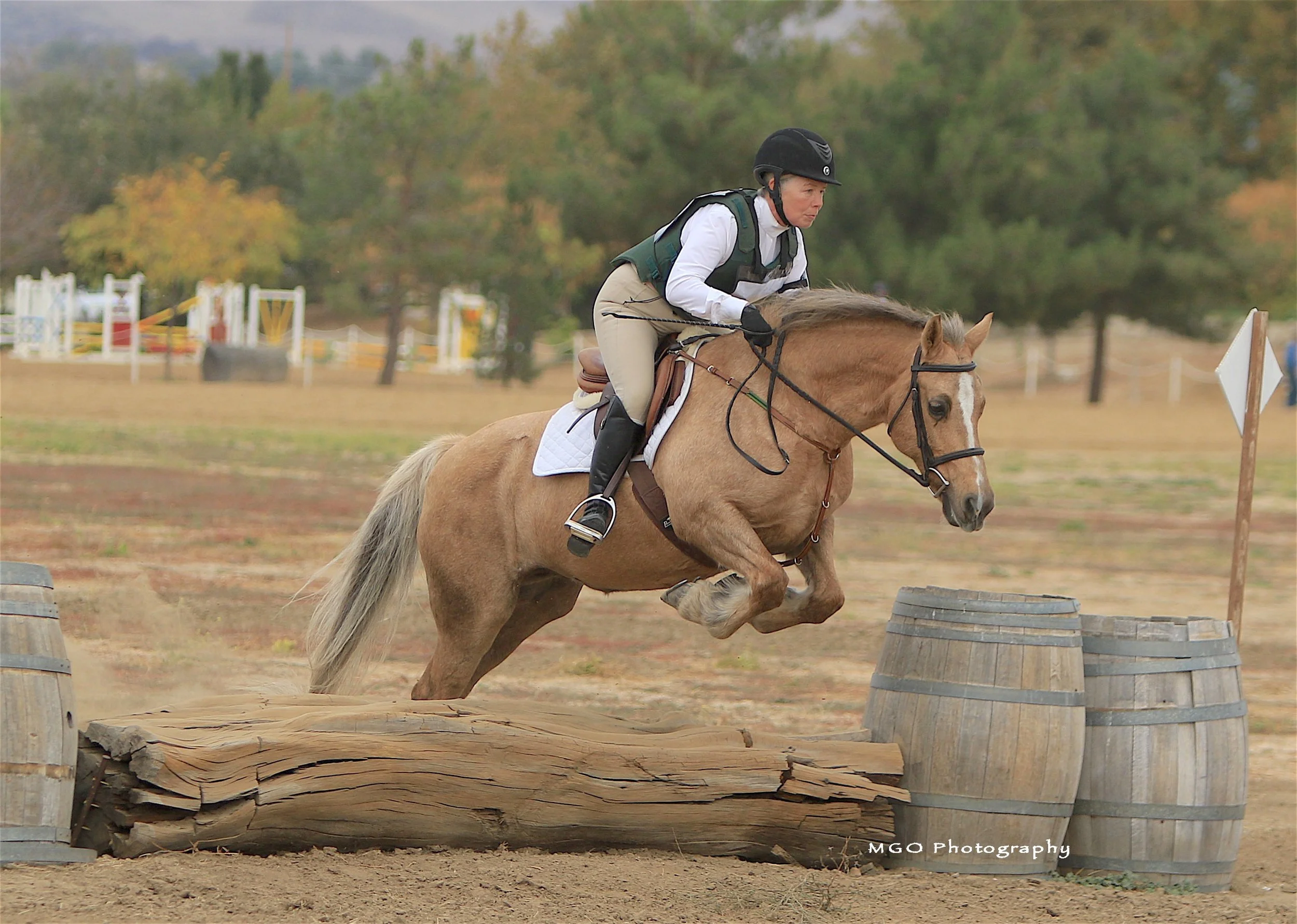 A woman in riding gear, including a helmet and gloves, riding a tan horse with a white blaze on its face, jumping over an obstacle made of logs and barrels during an equestrian event. The background features trees and a cloudy sky.