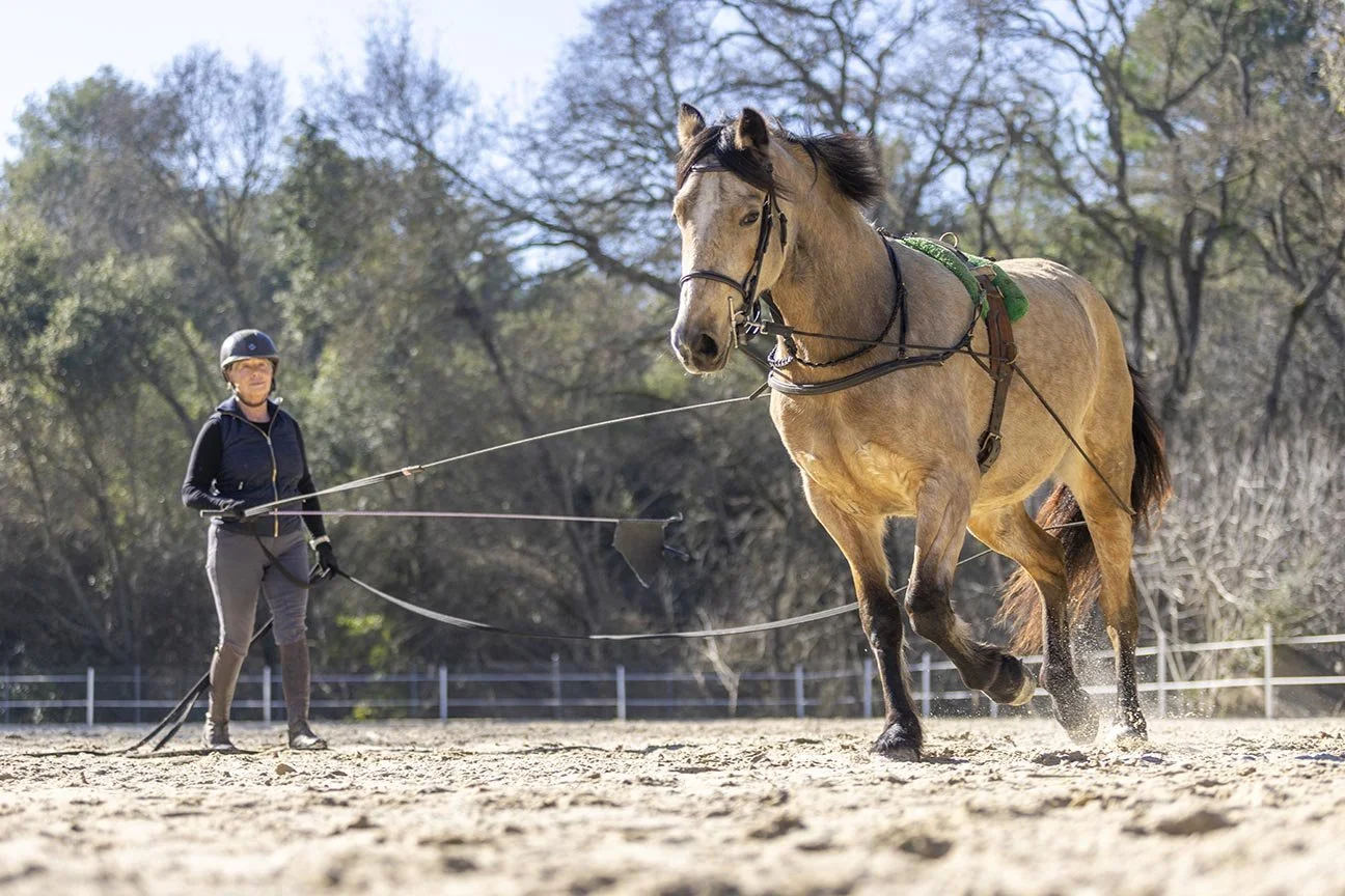 Heather Hill Riding Center 20260115-4451.jpg