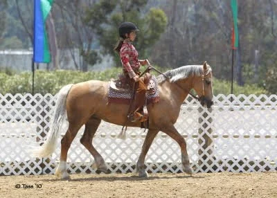 A young girl riding a light brown horse with a white tail, wearing a helmet and a patterned red jacket, inside a fenced outdoor arena.