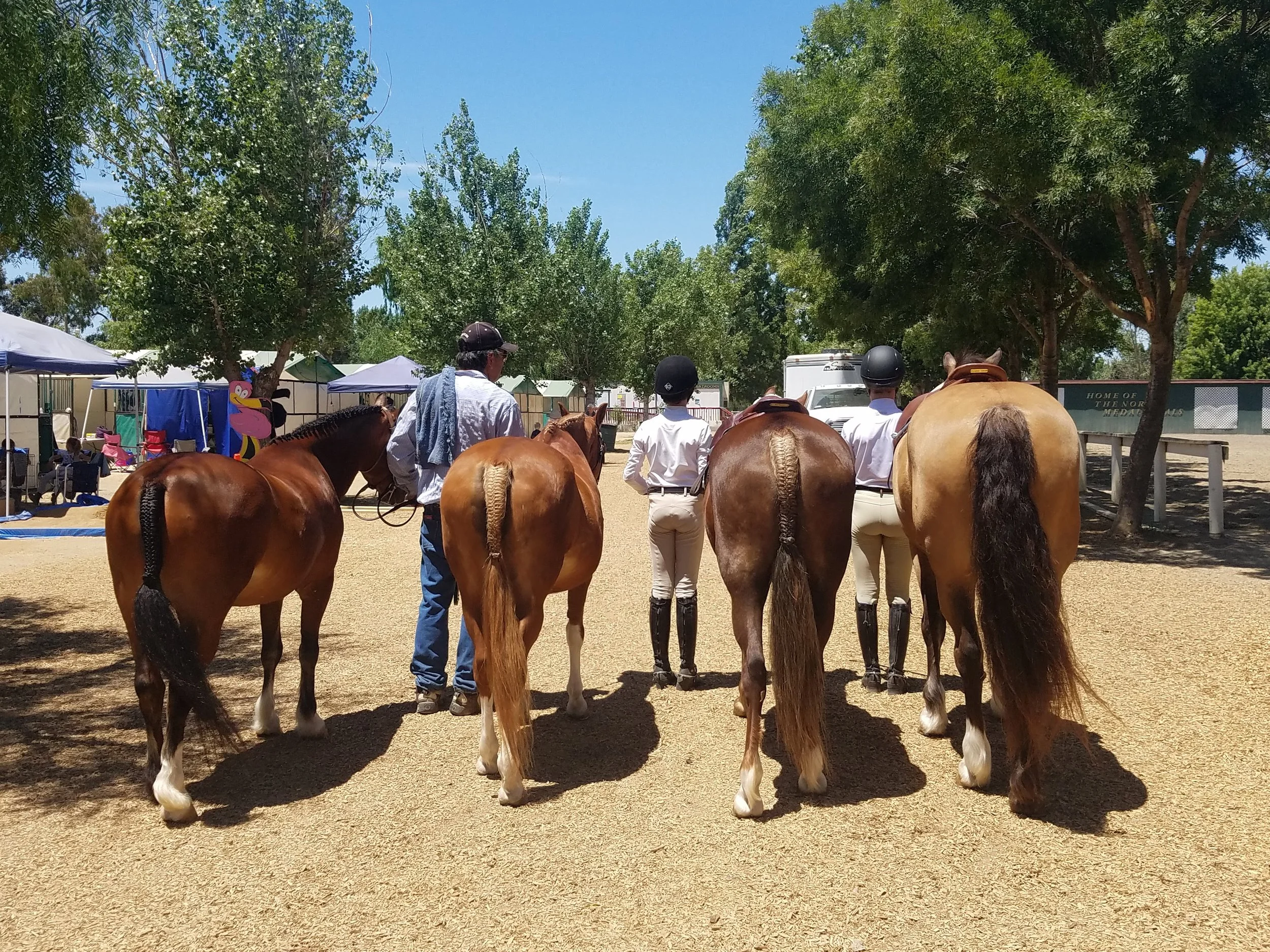 Four people on horseback, seen from behind, standing on a dirt ground with trees and tents in the background on a sunny day.