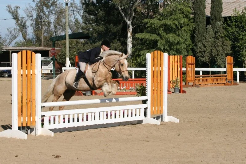 A person riding a beige horse jumps over an orange and white obstacle in an outdoor equestrian arena.