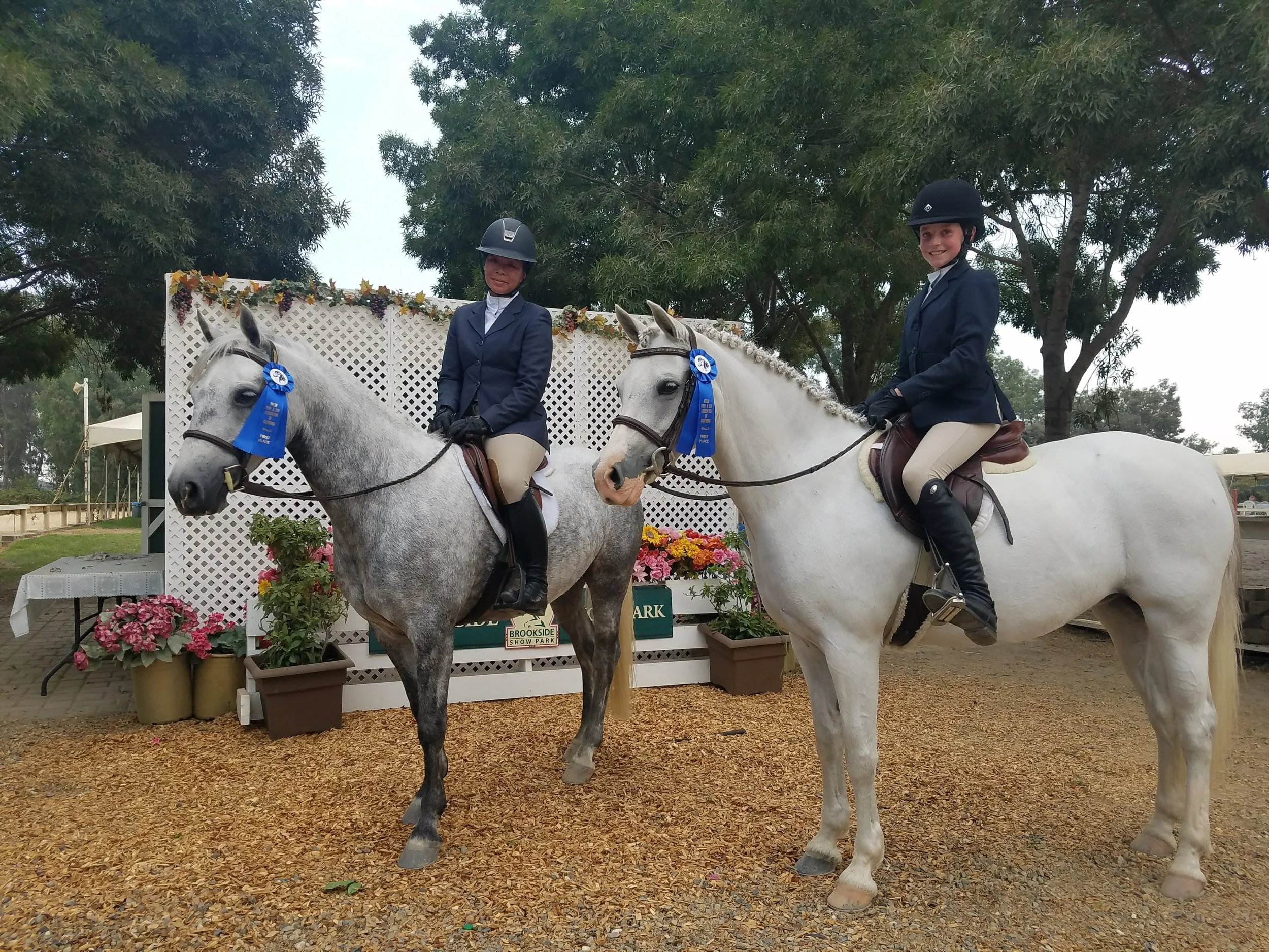 Two women in equestrian riding attire, wearing helmets and riding jackets, sit on white horses with blue ribbons attached to the bridles, in an outdoor setting with trees and flowers behind a decorative backdrop.
