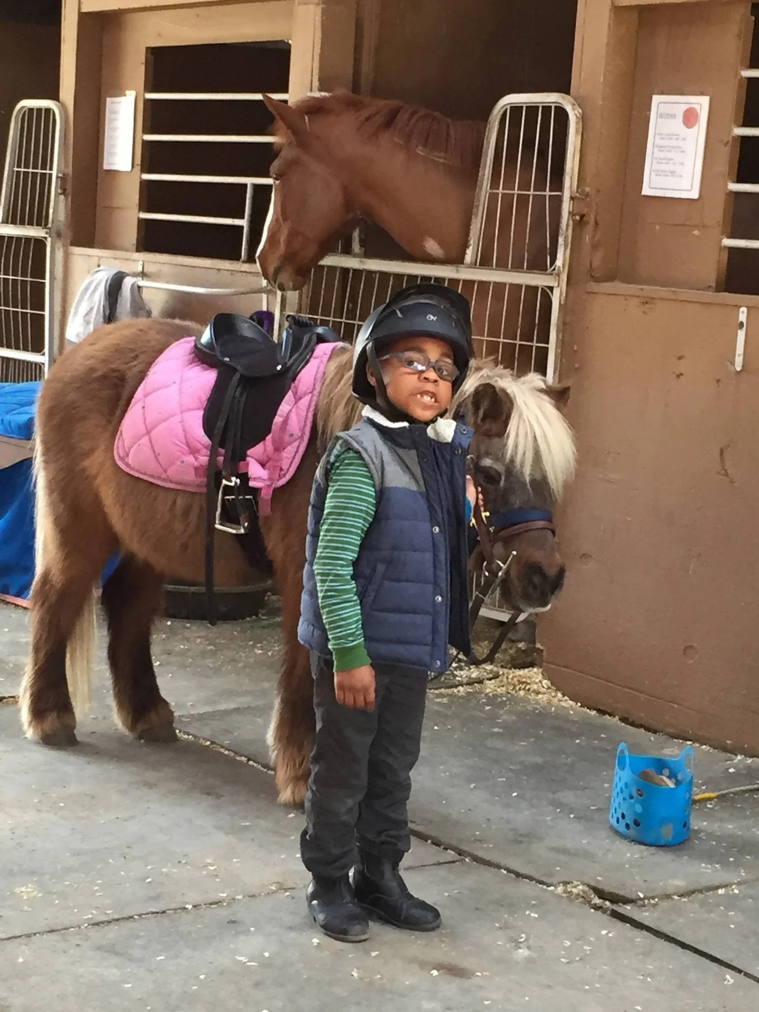 A young boy wearing a helmet, glasses, a blue vest, green striped long-sleeve shirt, and black pants stands in a stable with two ponies, one brown with a pink saddle, and one white with a brown face. A horse is visible in the background.