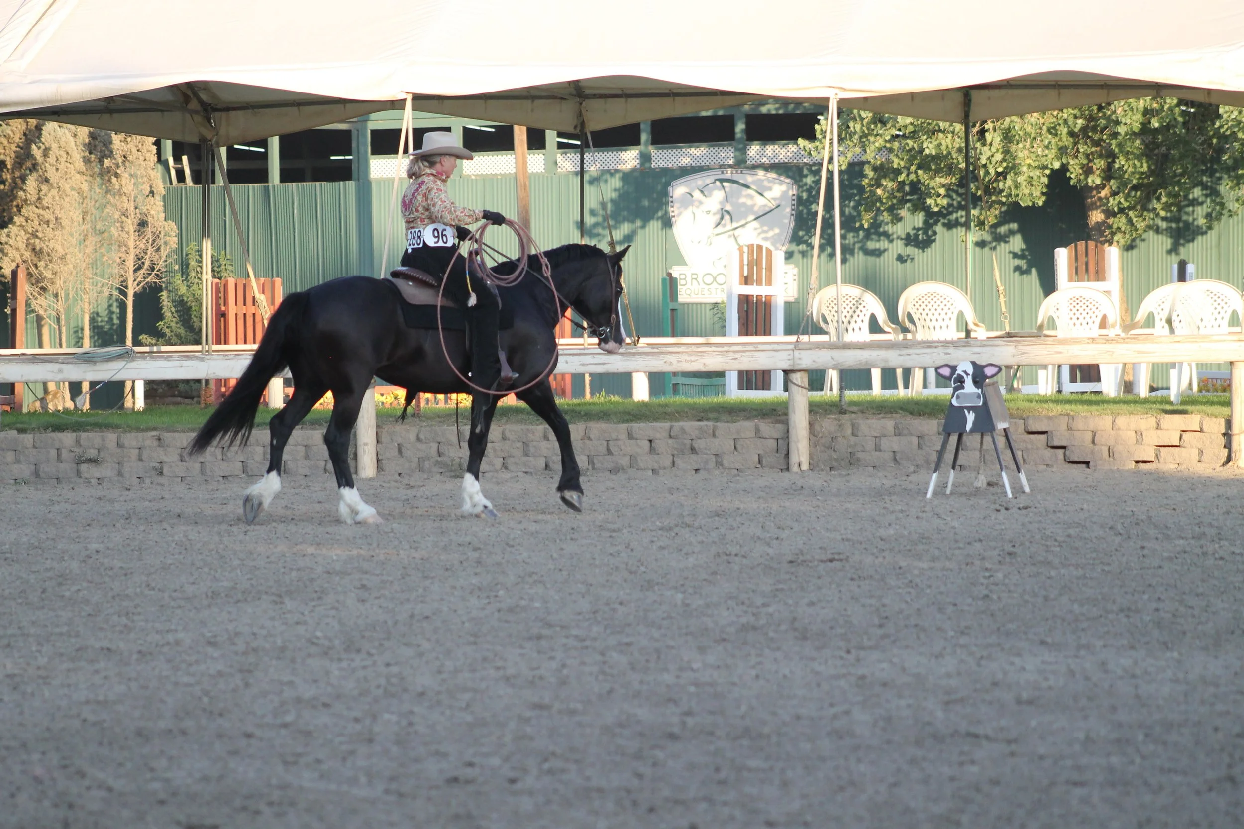 A woman riding a horse in an outdoor arena during a horse riding competition. The woman is wearing a cowboy hat, floral shirt, and a numbered badge. The arena has a wooden fence and a black and white cow-shaped target.