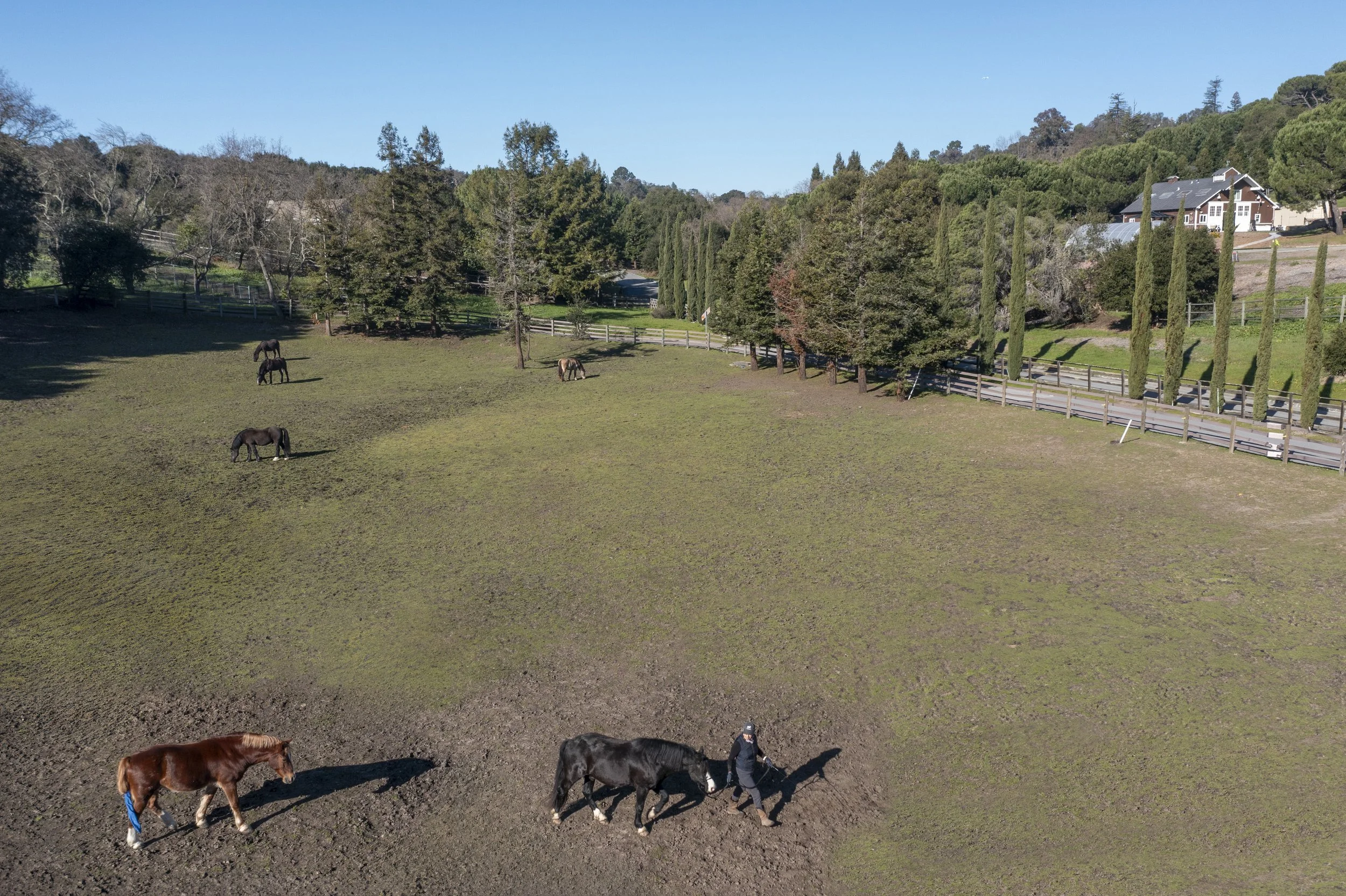 Heather Hill Riding Center 20260115-0994.jpg