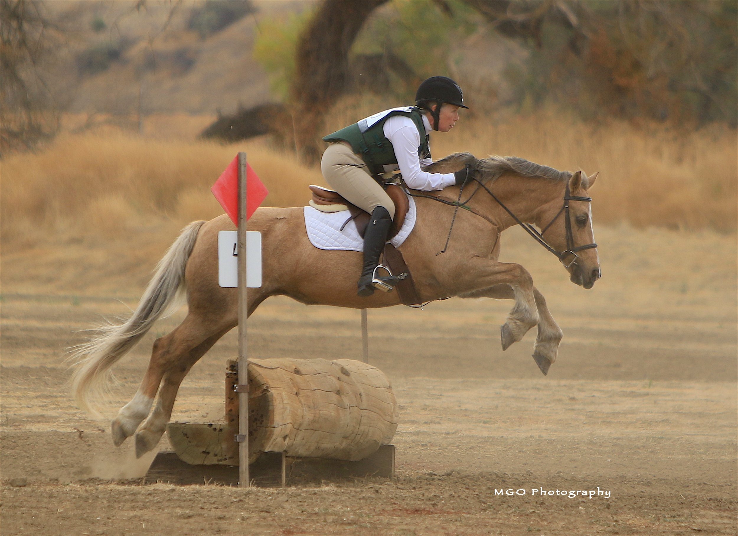 A rider in a helmet, white shirt, and beige riding pants jumps over a wooden obstacle on a light brown horse in an outdoor equestrian event, with a dusty ground and autumn trees in the background.