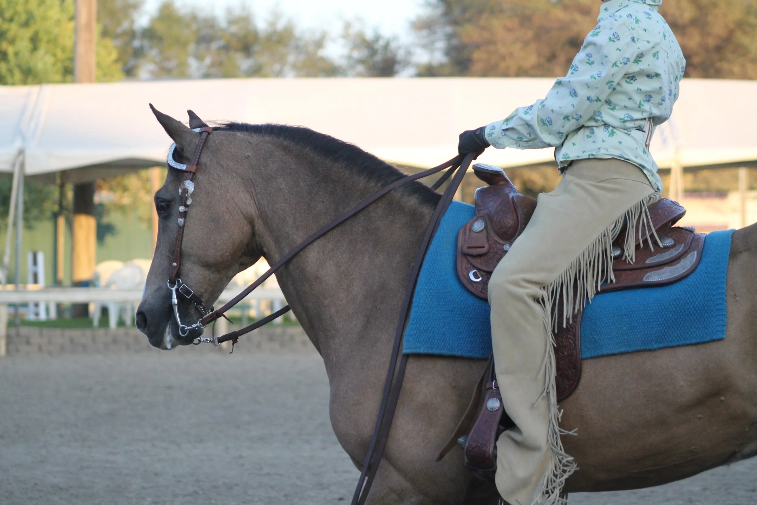 A person riding a brown horse with a blue saddle pad and a western saddle, outdoors in a riding arena with a white tent and trees in the background.