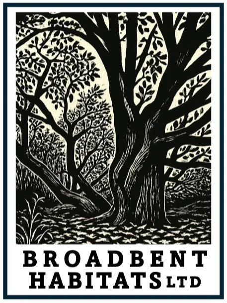 Broadbent Habitats Ltd