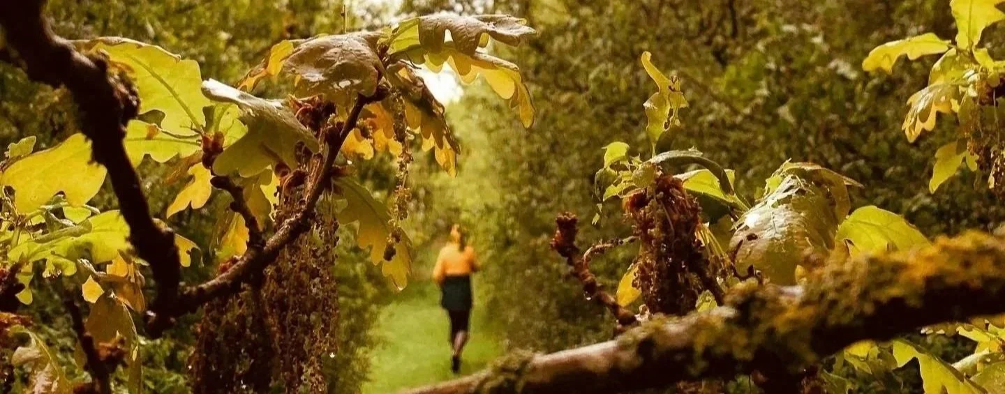 A person running through a vineyard or garden with grapevines, seen from between the grapevines.