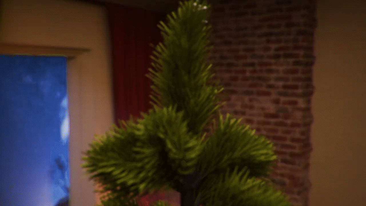 Long Hollow Christmas Spectacular 2024