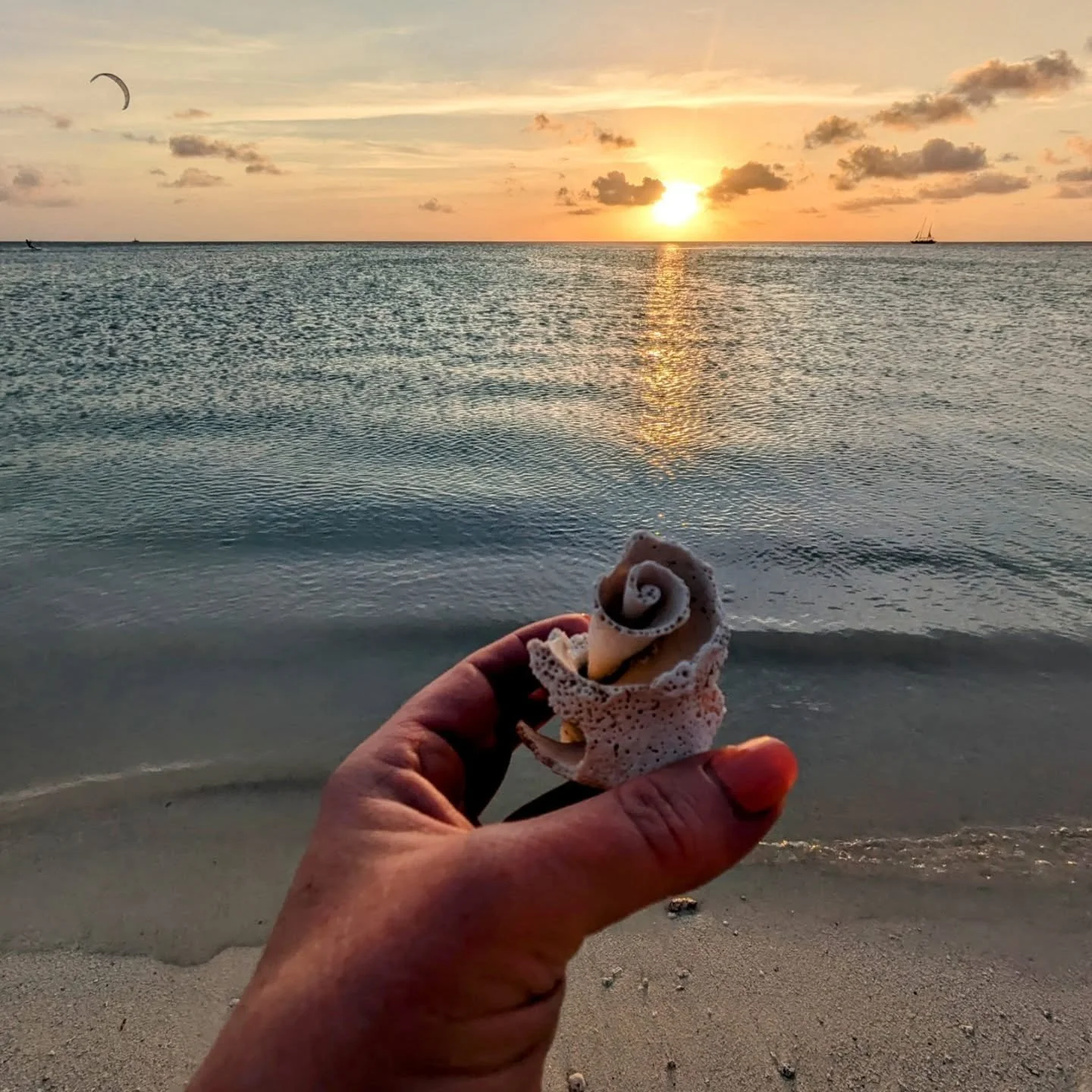 Aruba! 🌊🏖️🐚👙🩴