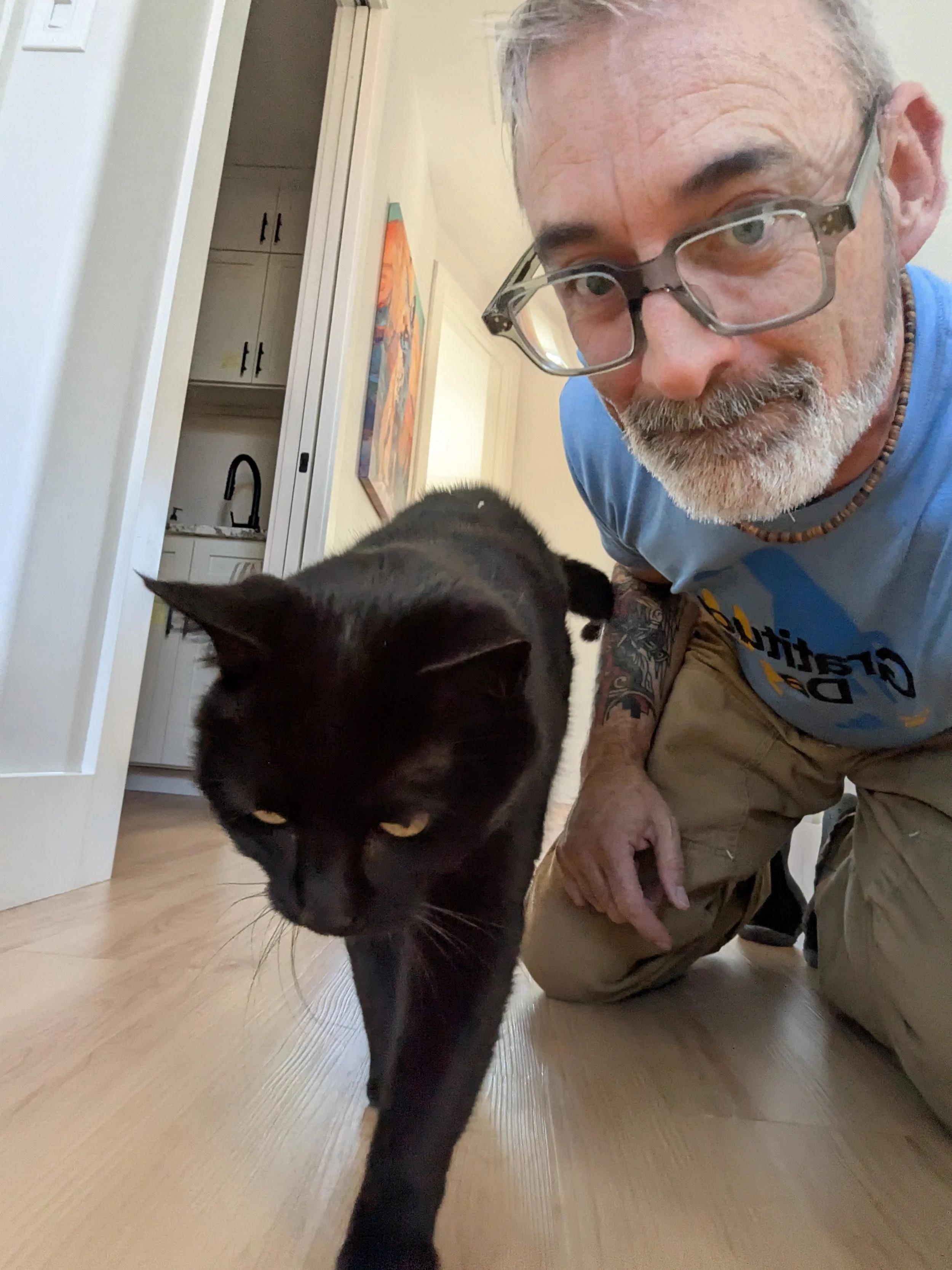 Hanging out with Oliver the cat on a pet sit