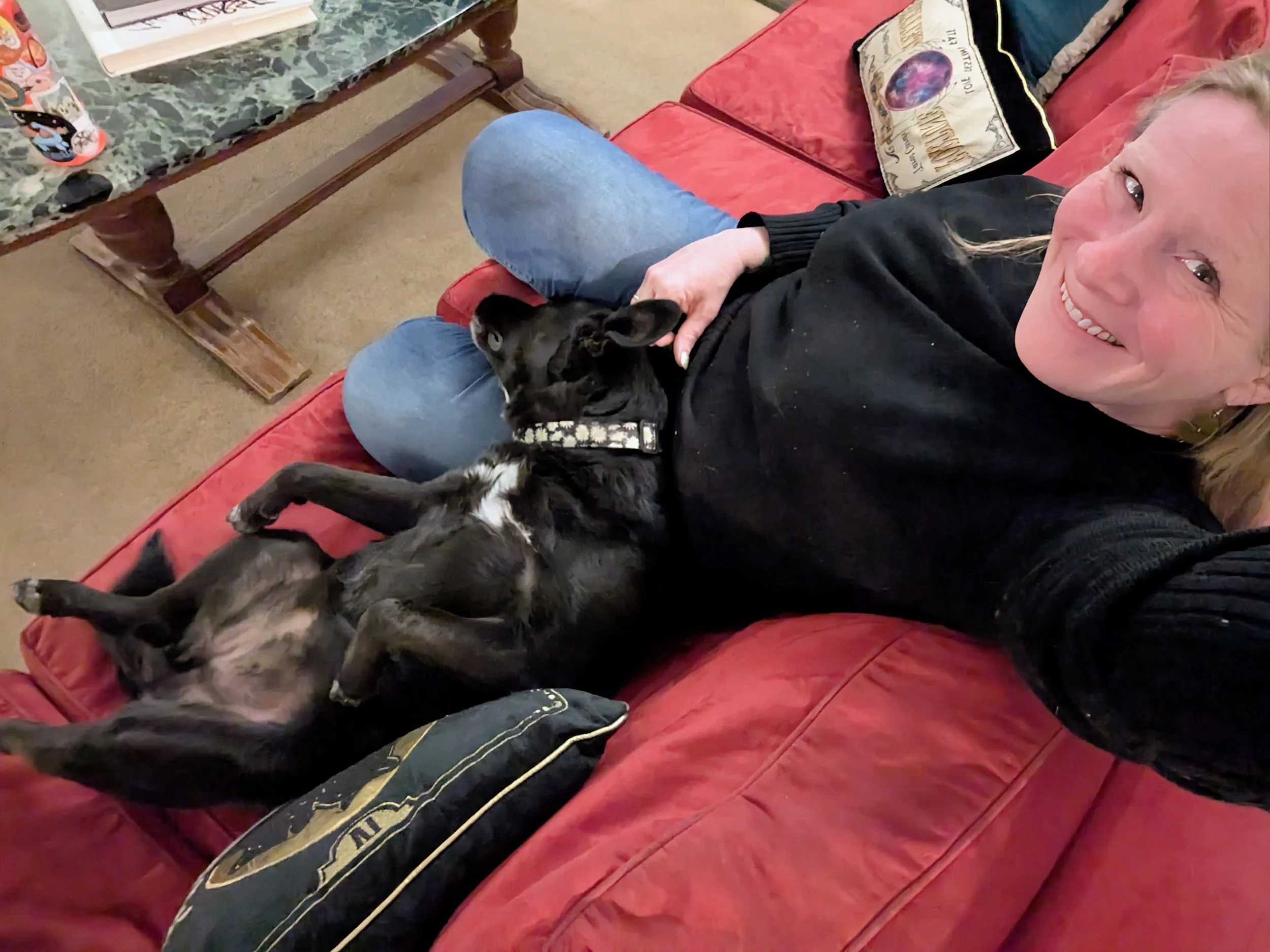 How to Prepare Your Home and Pets for a House Sitter