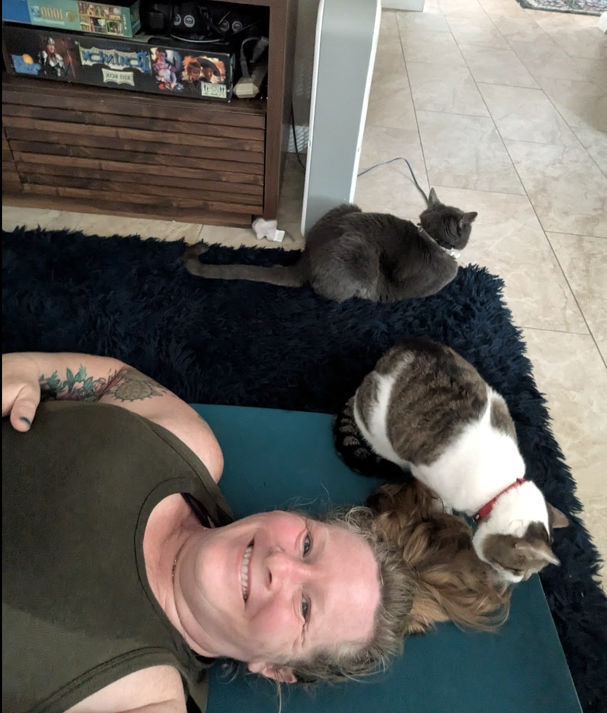 Cats love yoga