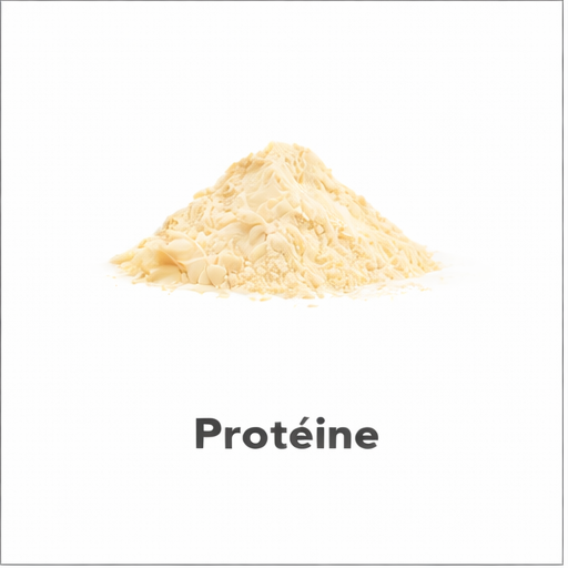 proteine.png