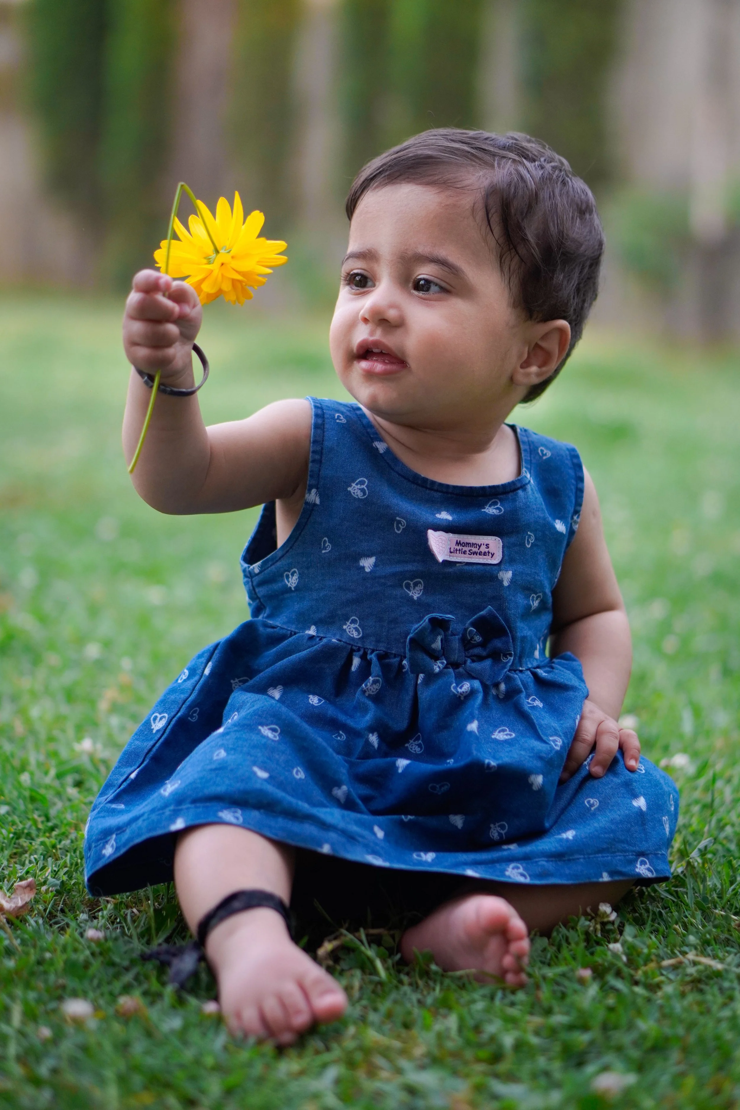 Montessori's Four Planes of Development