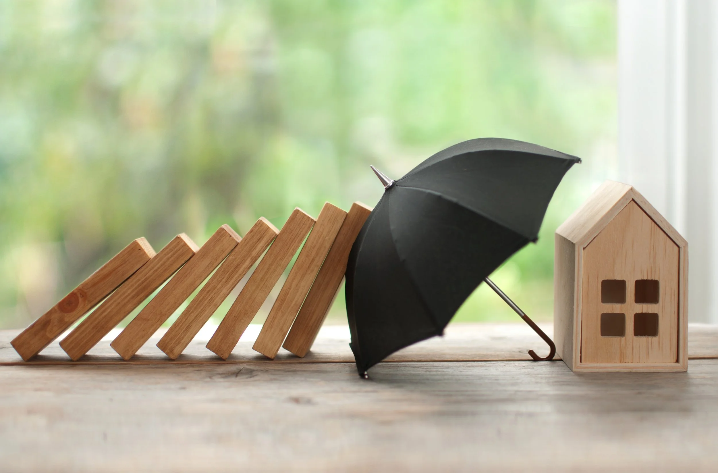 Managing Risk: Understanding Insurance Options Workshop