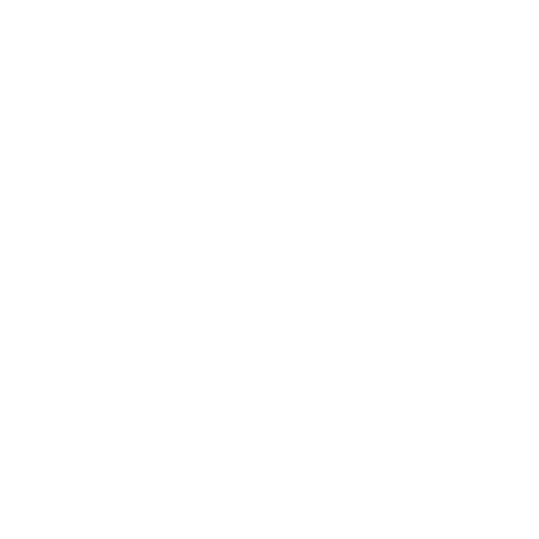 Icon-Reality and Choice Therapy