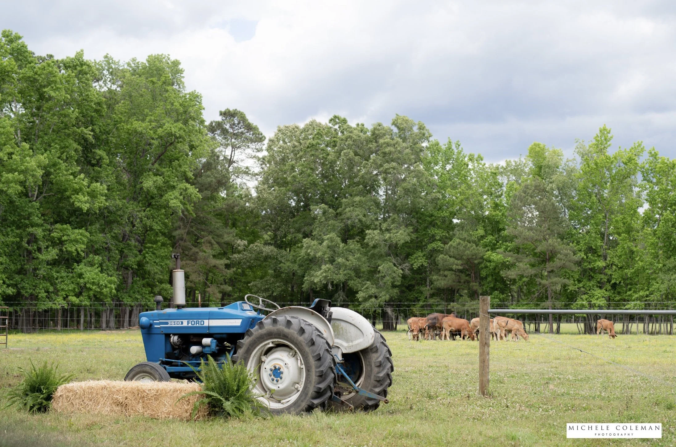 Rural field with a tractor at work at Indigo House Farm, a Southern farmstay property.