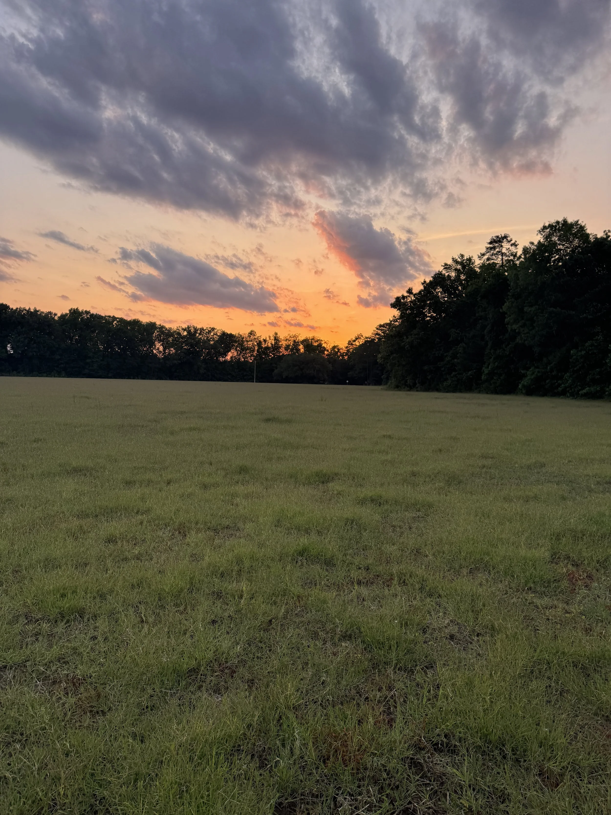 Sunset over South Carolina farmland at Indigo House & Farm.