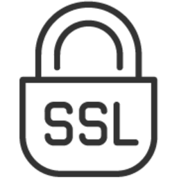 Icon of a padlock with the text 'SSL' inside, representing Secure Sockets Layer security.