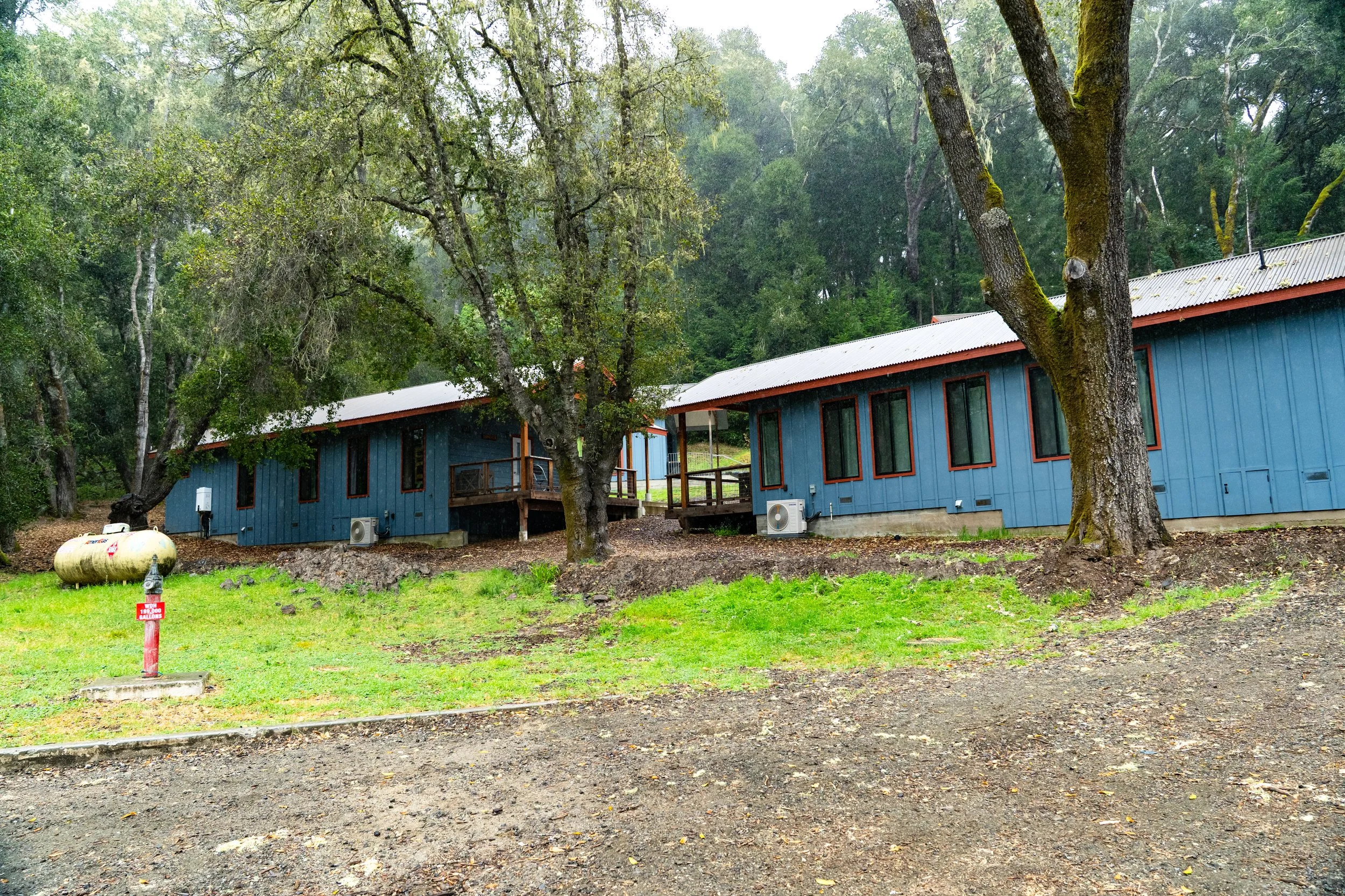 Copy of DSC01367.jpg