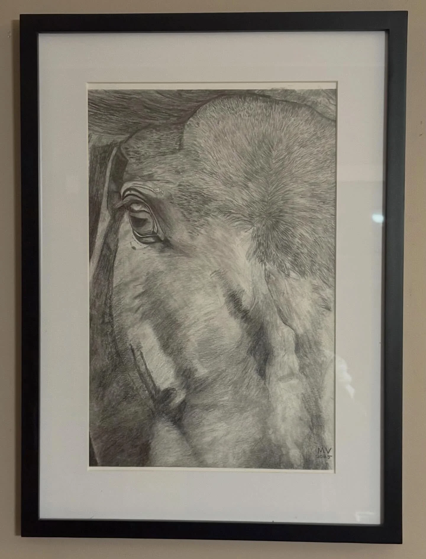 Drawing 11by17 $400  #drawing  #horsedrawing  #horseeyedrawing