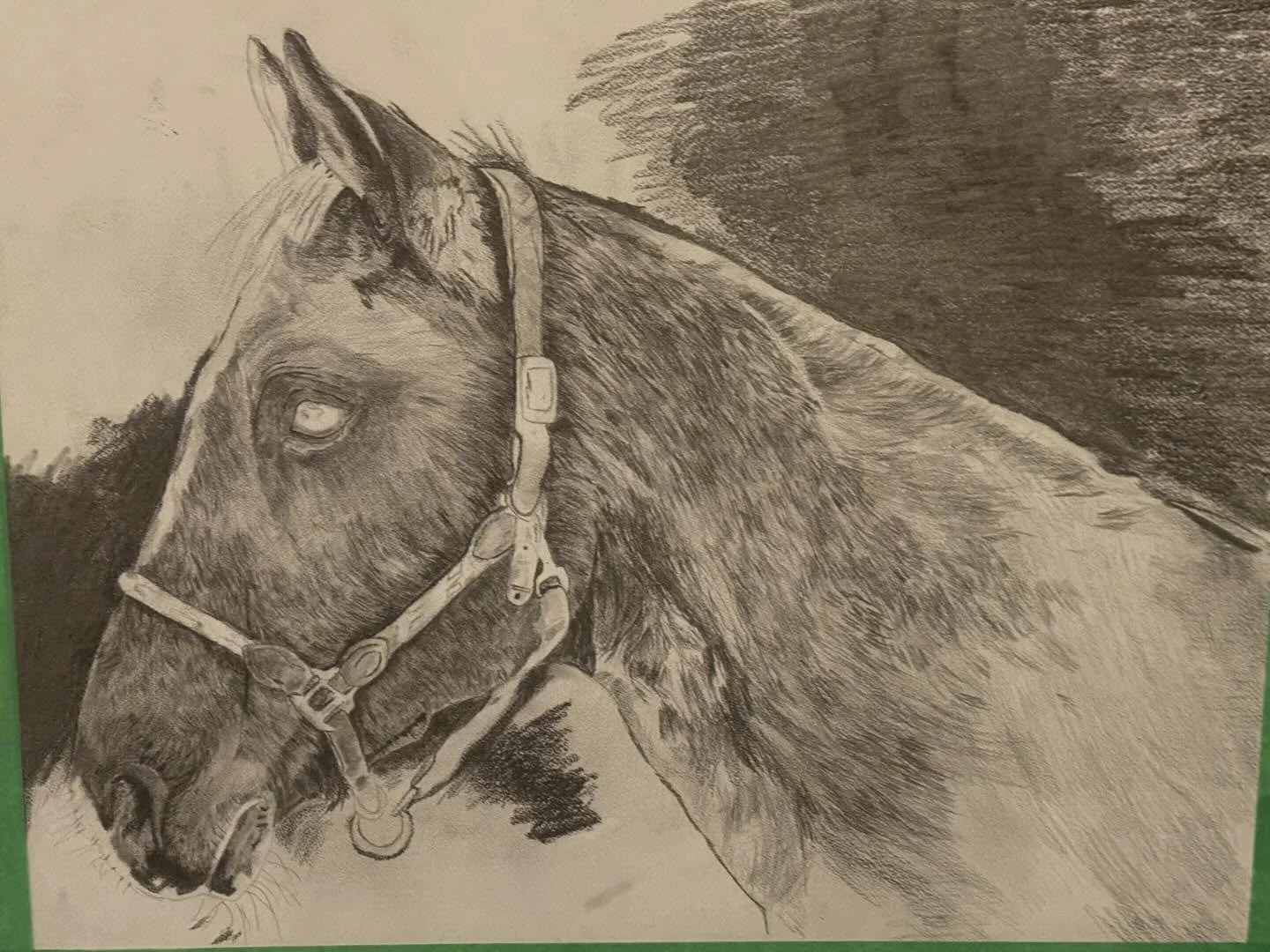 My new drawing of banner stay tune for more