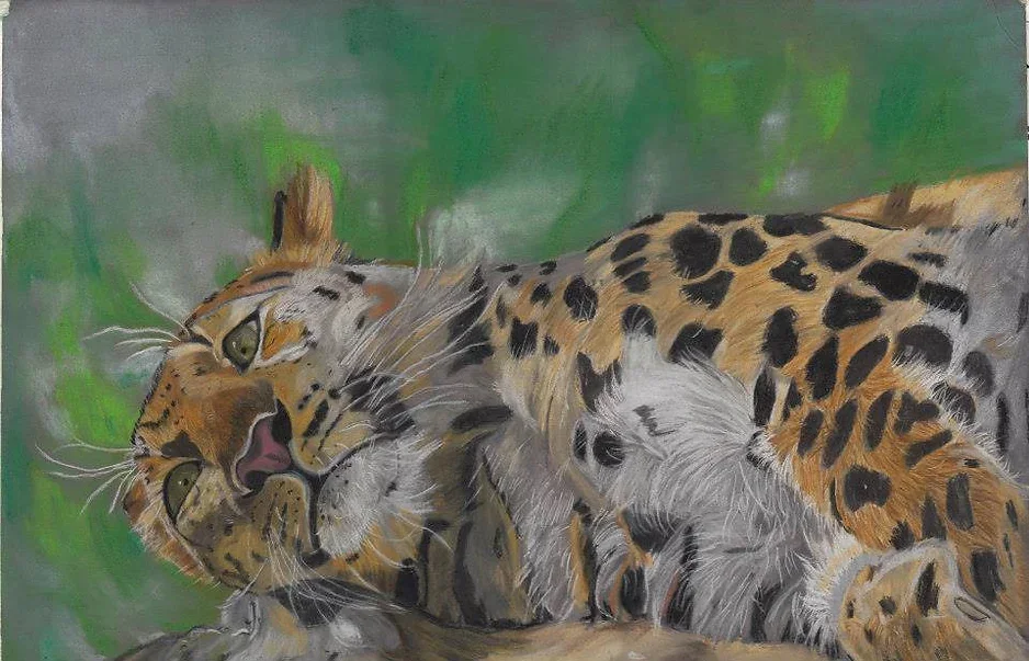 Painting of a resting jaguar lying on a rock with a blurred green background.