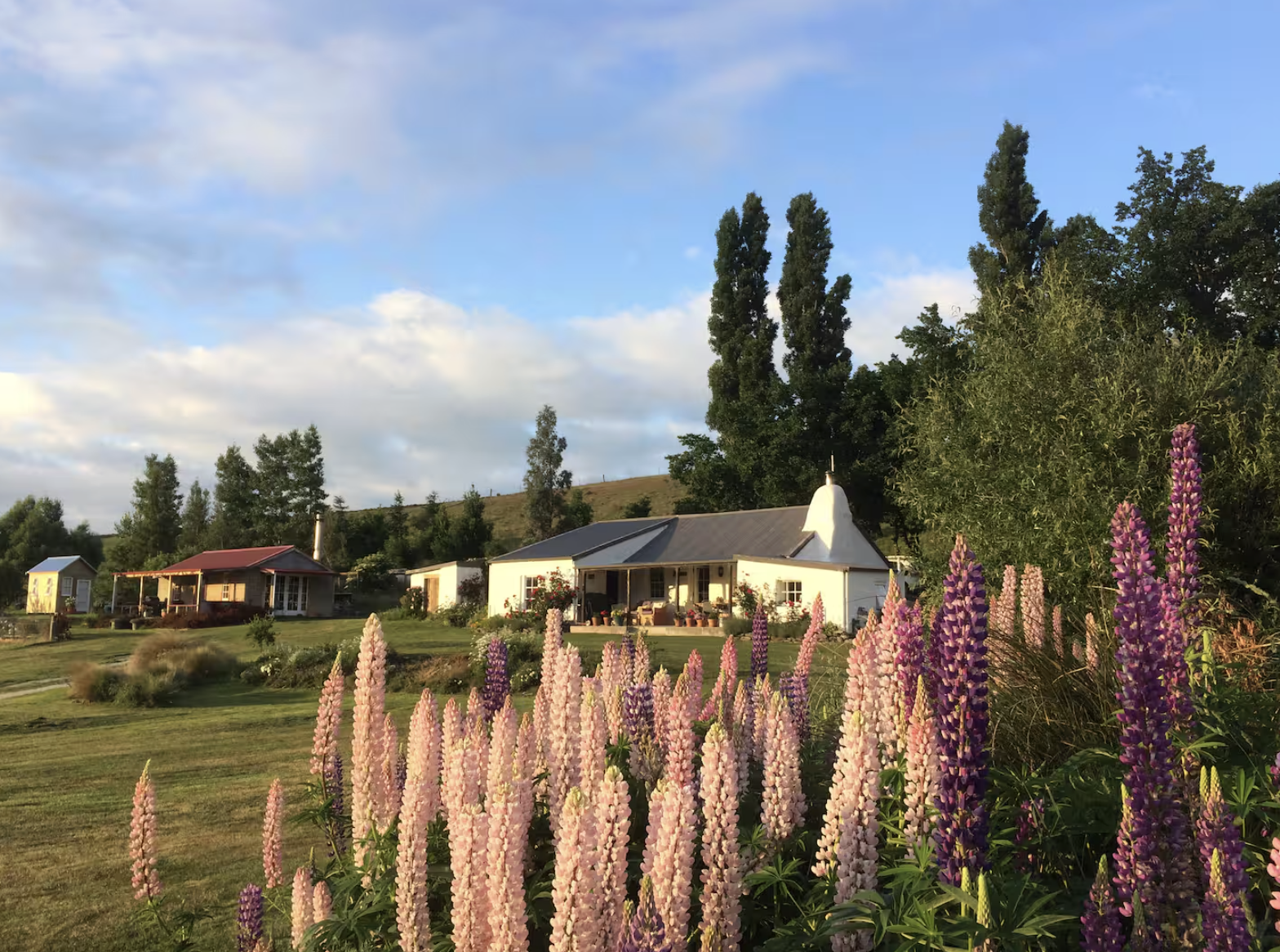 A rural scene with a garden in the foreground filled with pink and purple flowers, and houses with porches and gabled roofs in the background, surrounded by trees and a partly cloudy sky.
