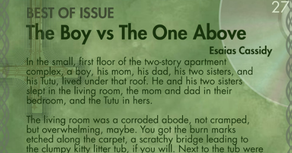 An Interview with our Best of Issue Author, Esaias Cassidy