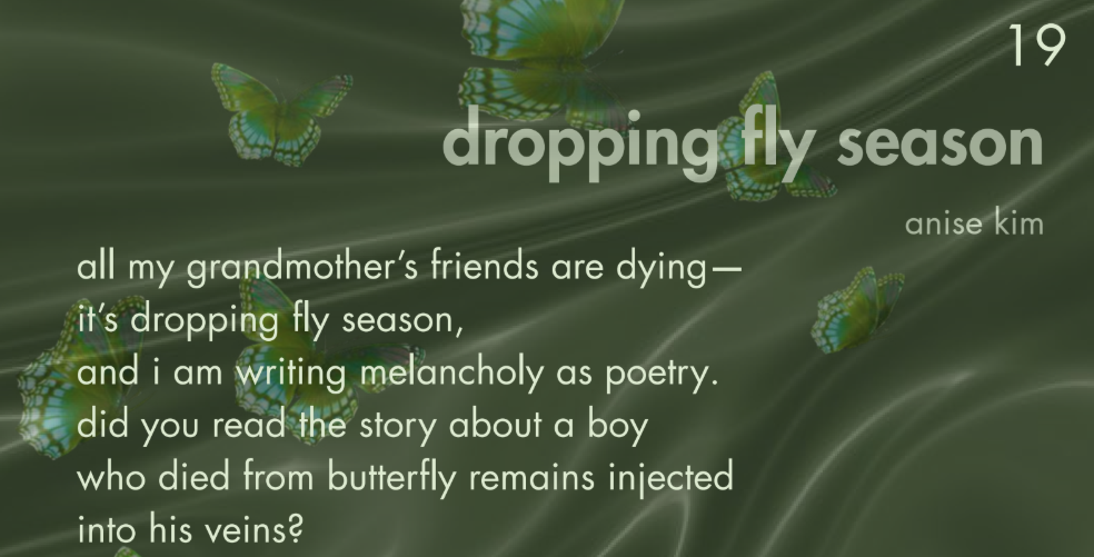 Interview with Anise Kim, poetry contributor