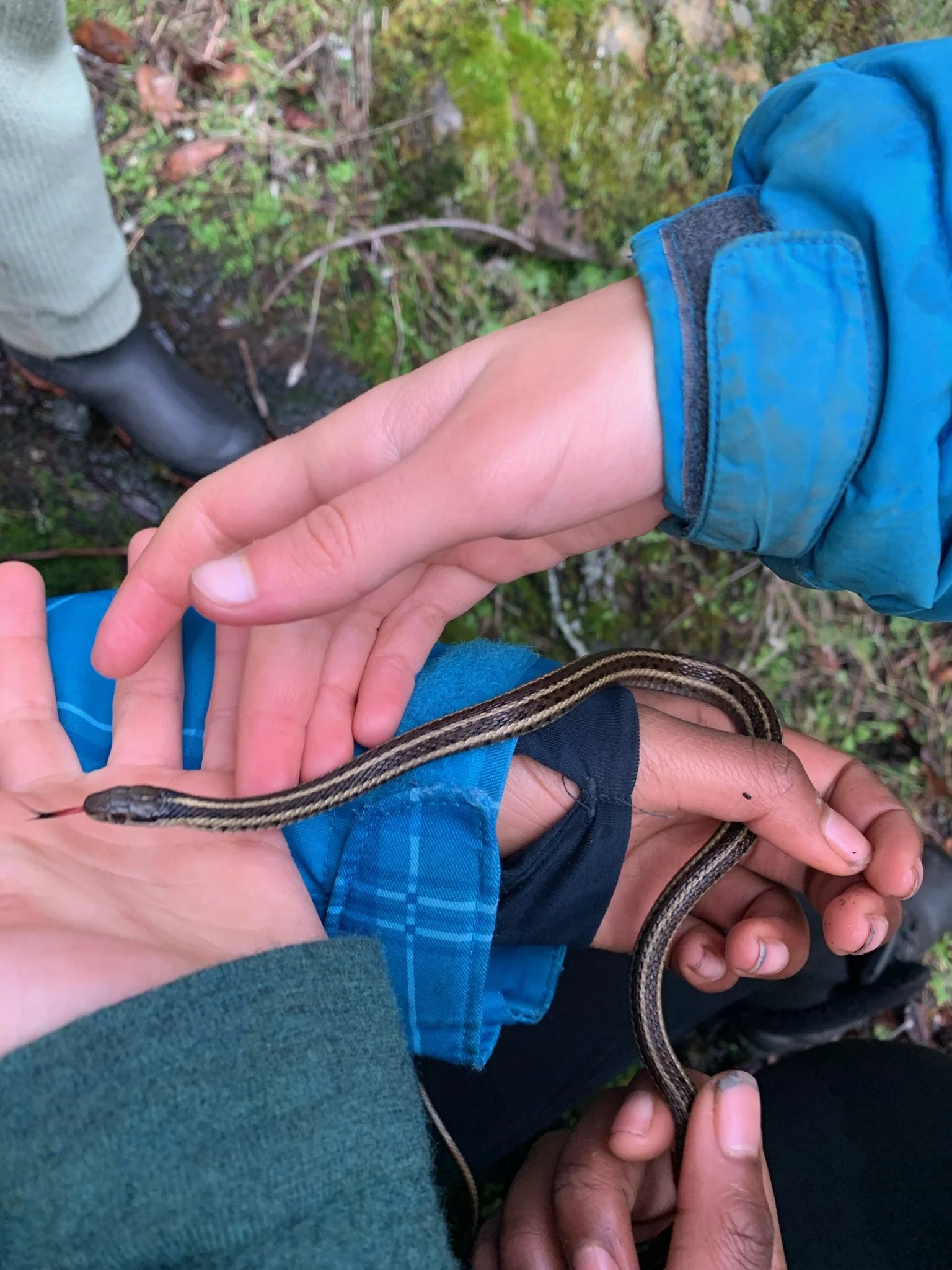 IMG_0691 (1) (1).JPG