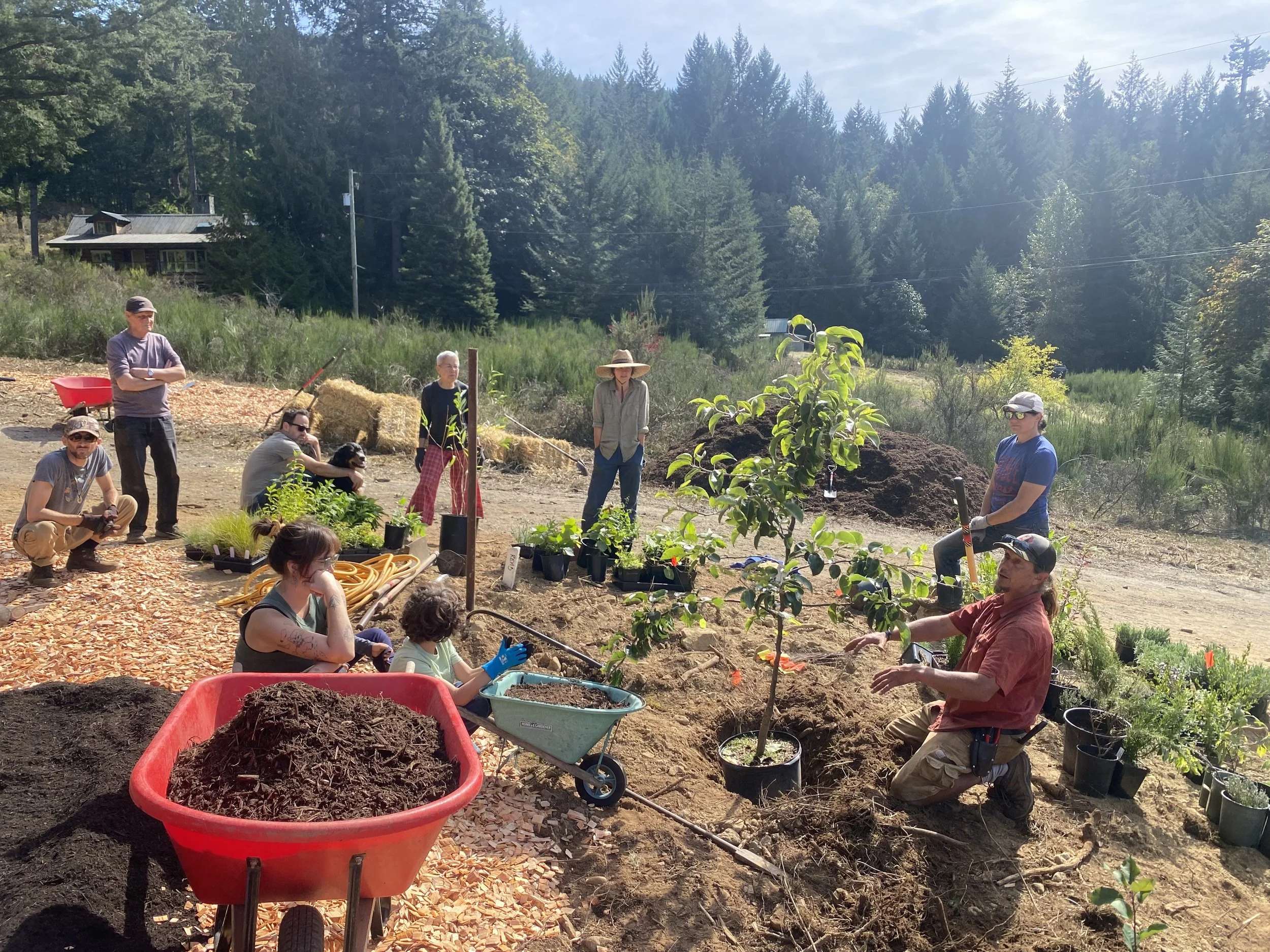 Land Restoration & Stewardship