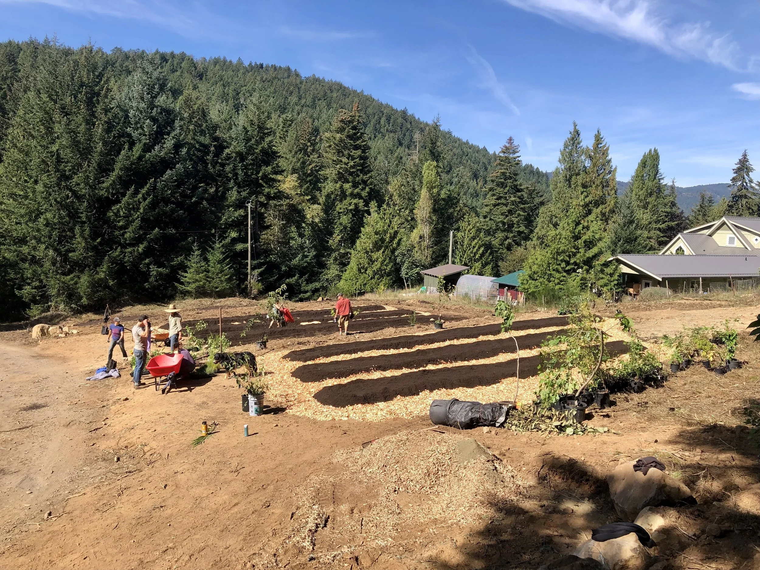 Copy of 74863951410__FE3DACF6-1611-4079-8374-304D3C8373C3.jpg