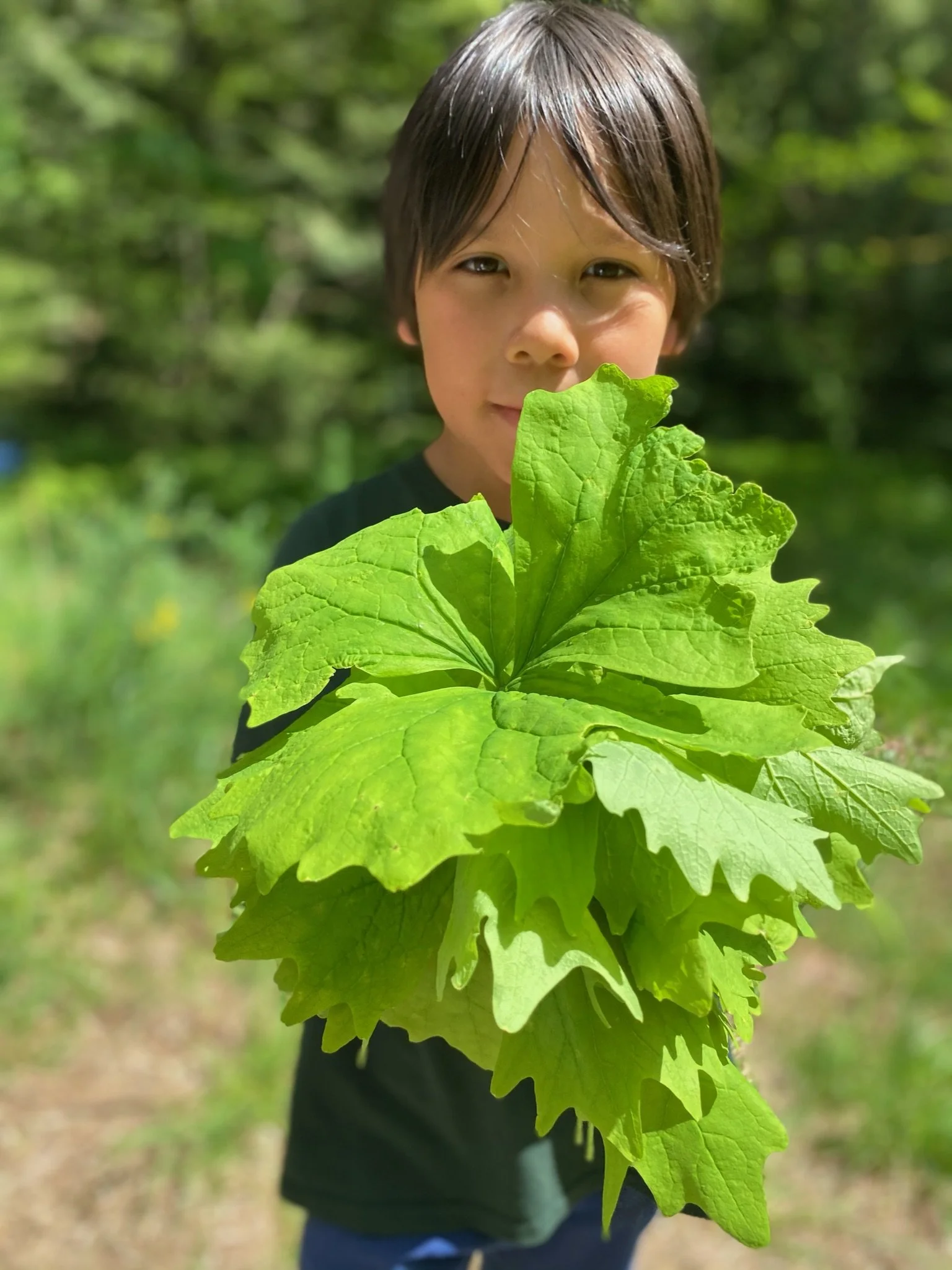 IMG_0590 (4) (1).jpeg